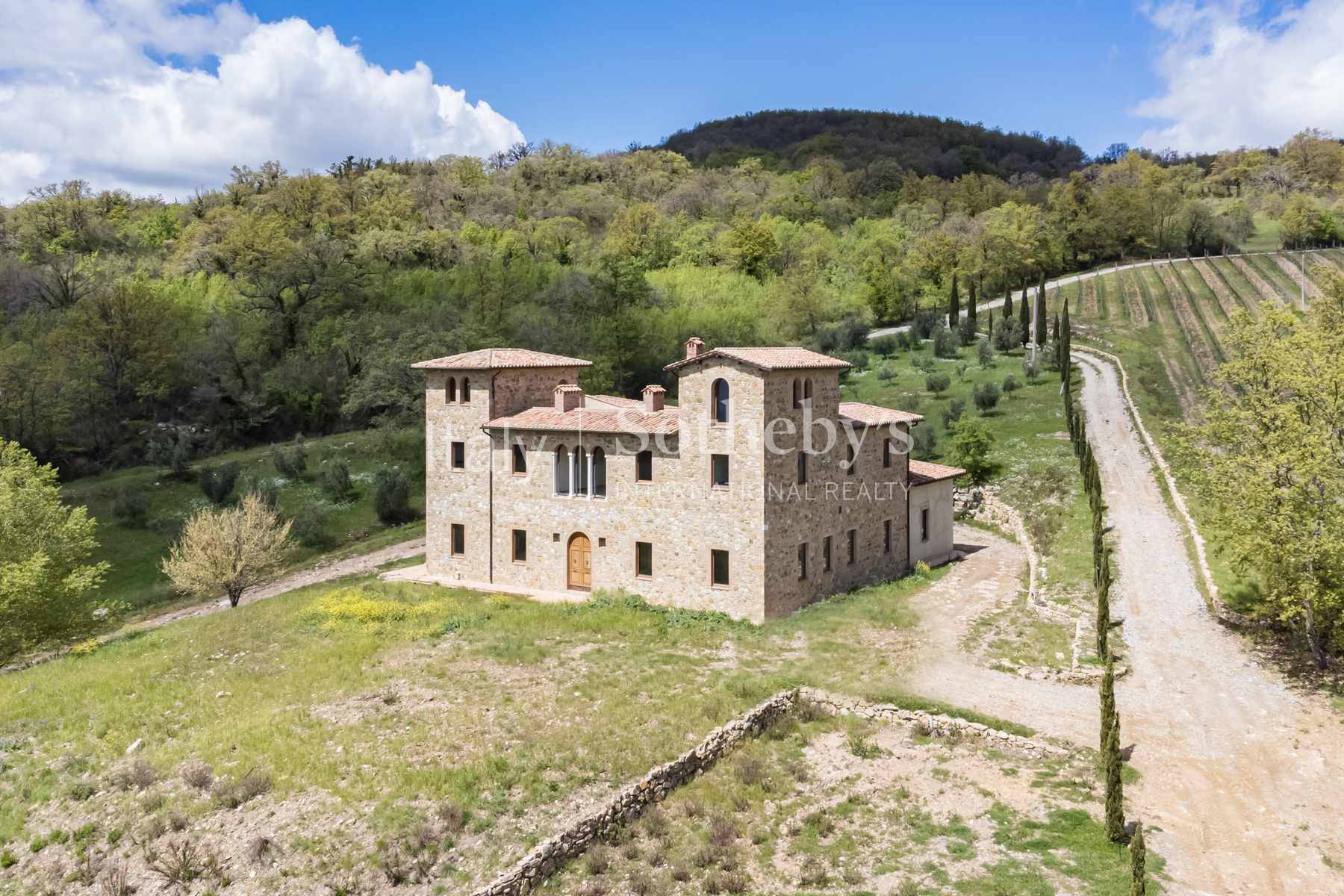  Fascinating property with vineyards and olive groves - 物件實景