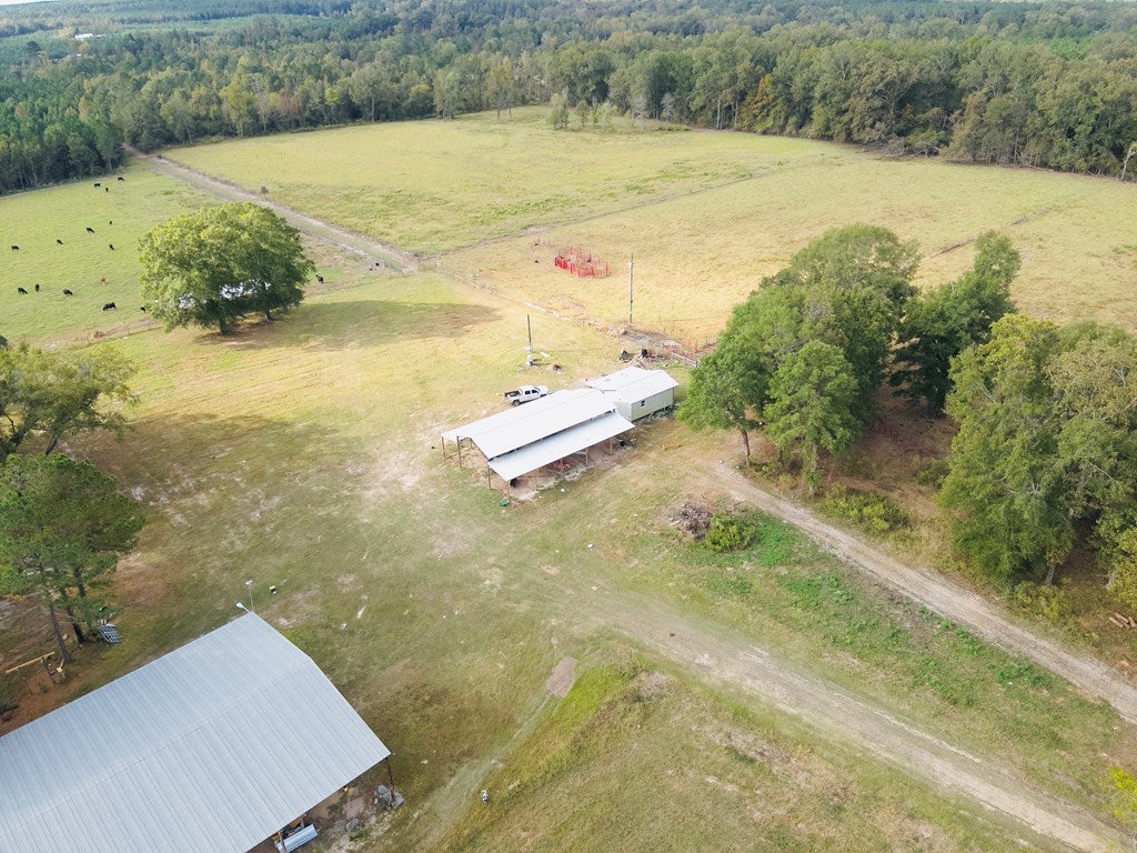 Abbeville, Georgia, 31001, United States, ,Land,For Sale,1975130