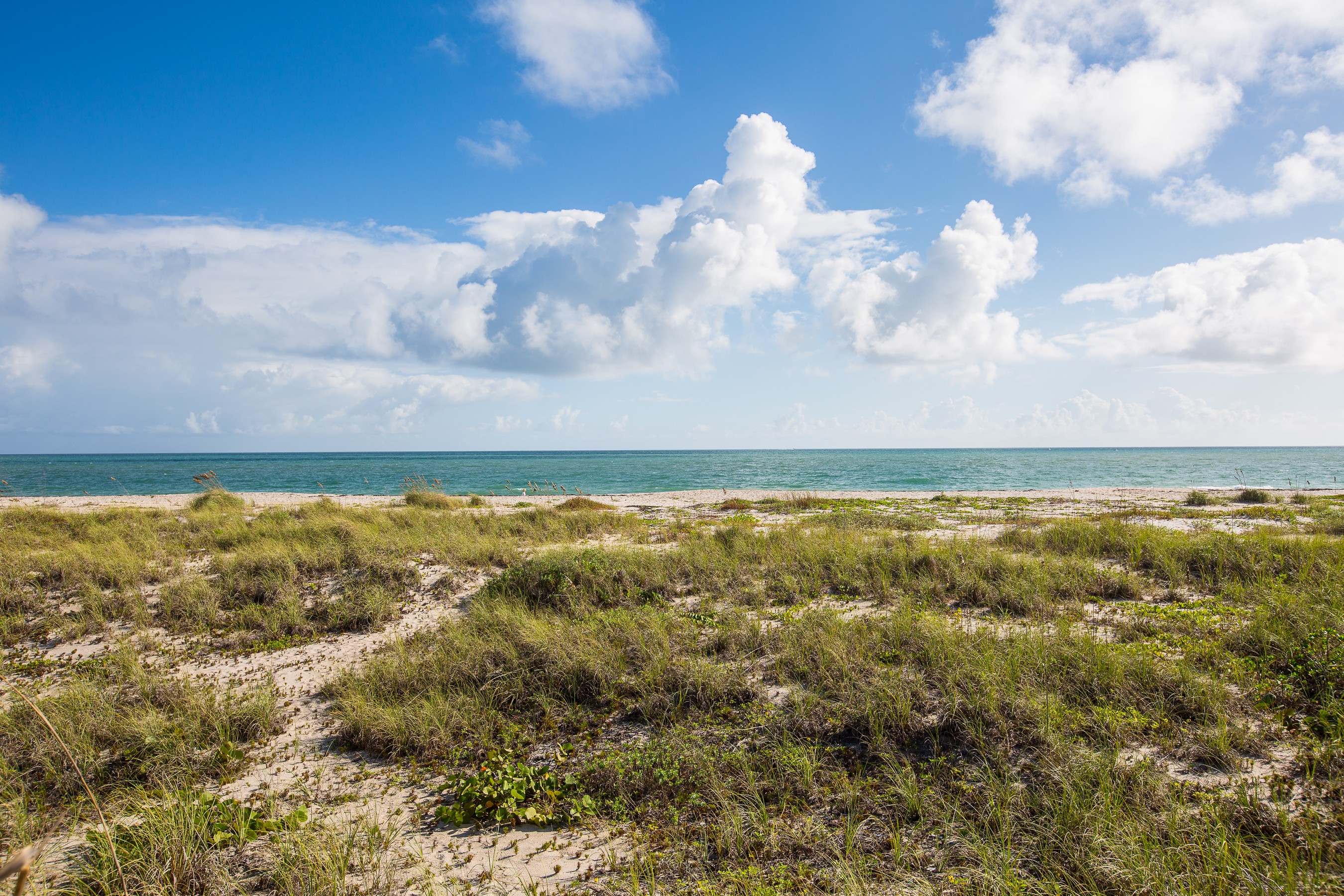  1371 Jonathans Trail, Vero Beach, FL, 32963 - 物件實景
