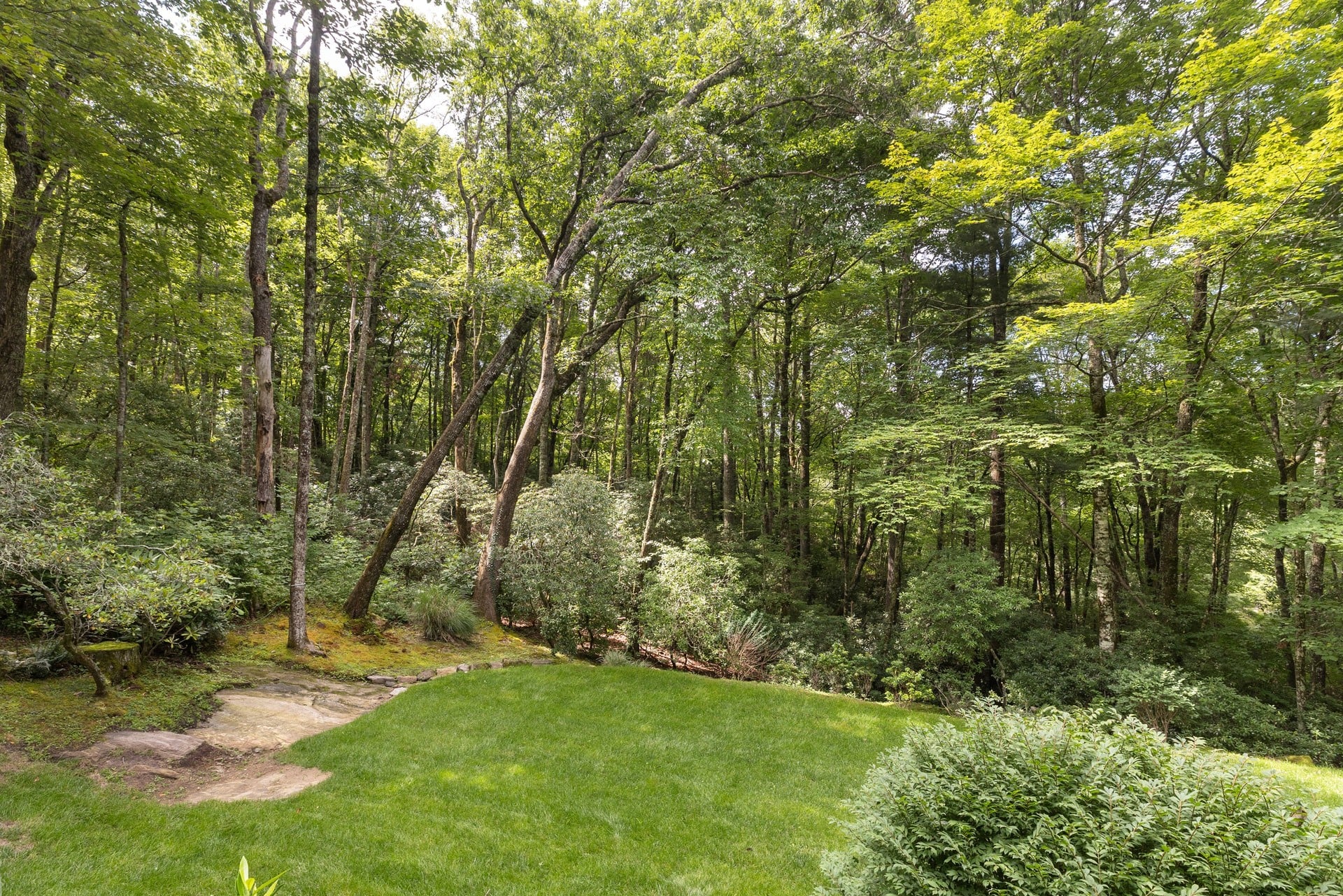  177 Forest Trail, Highlands, NC 28741 - 物件實景