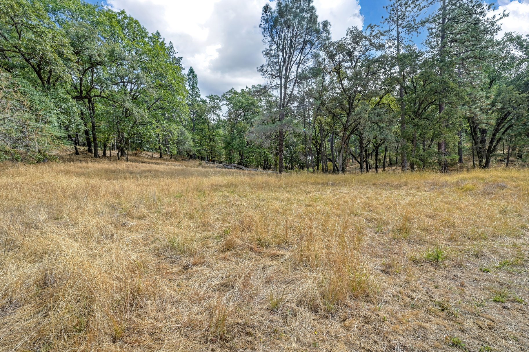  Spacious Grass Valley Country Property, 5 acres, shop and pond - 物件實景
