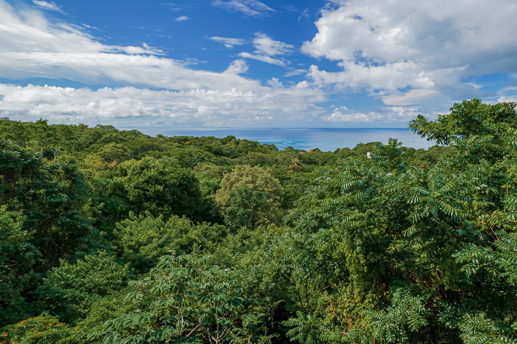 Property Featured Image