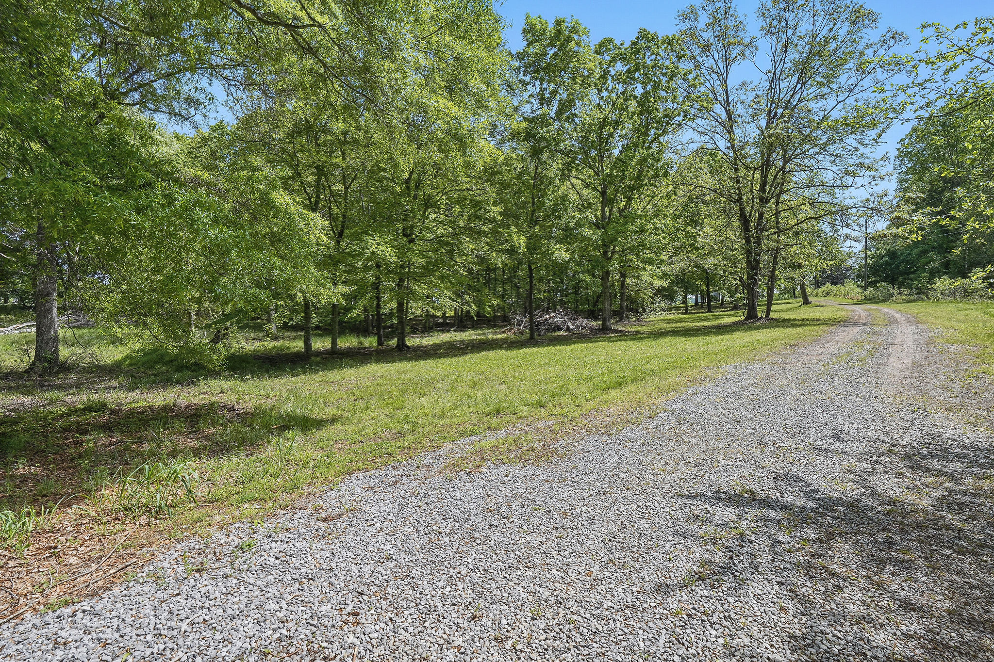 White Pine, Tennessee, 37890, United States, ,Residential,For Sale,1809846