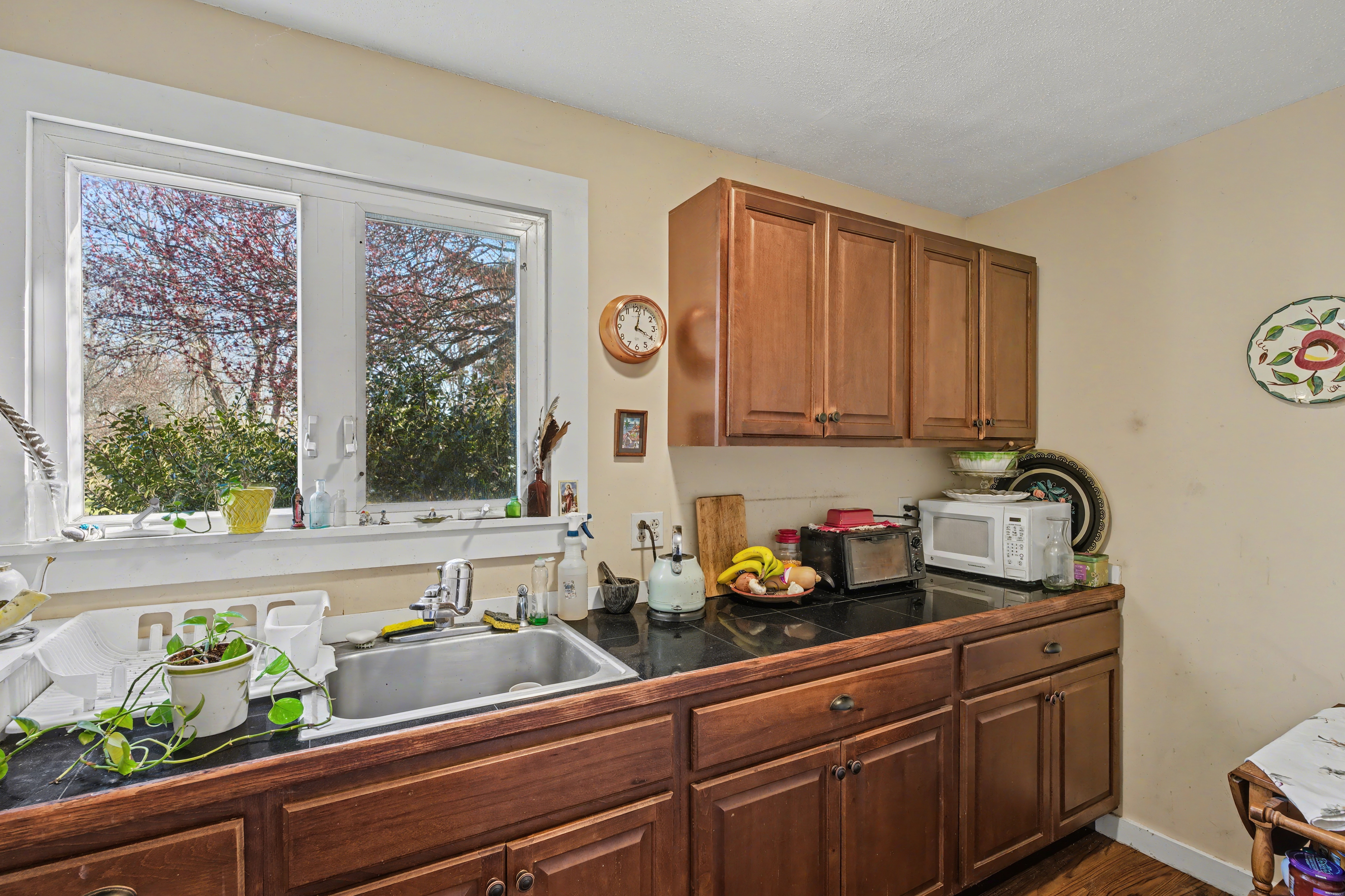  Spacious Main House and Separate Guest Home on 3.64 Acres - 物件實景