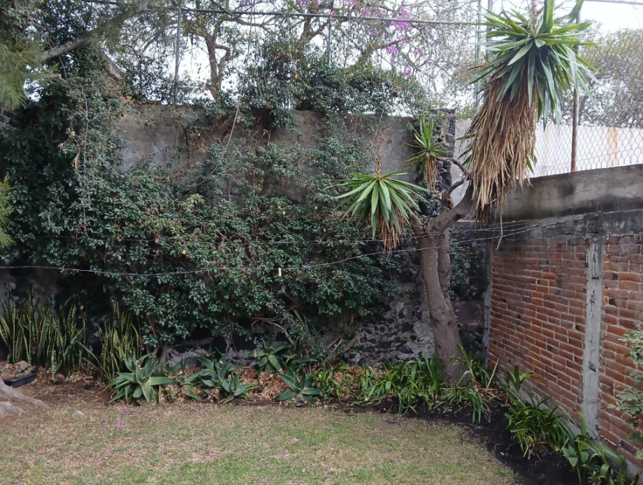 Coyoacán, Ciudad de México, 04700, Mexico, 5 Bedrooms Bedrooms, ,2 BathroomsBathrooms,Residential,For Sale,1849593