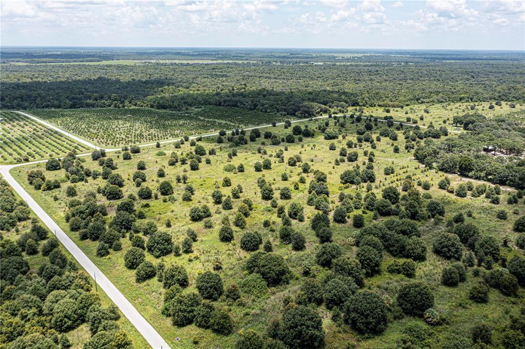 Arcadia, Florida, 34269, United States, ,Land,For Sale,1997252