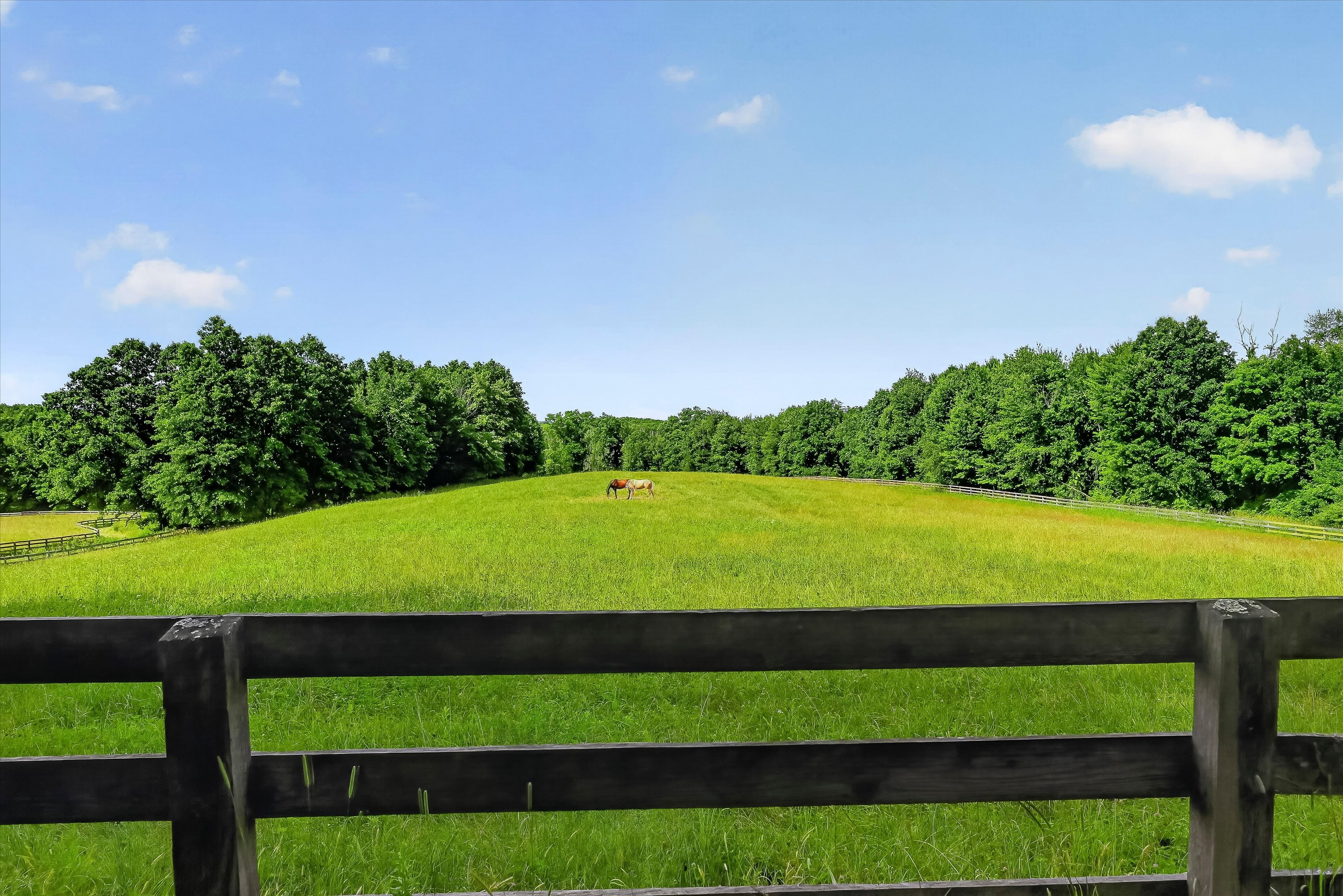  Bucolic Equine Estate - 物件實景
