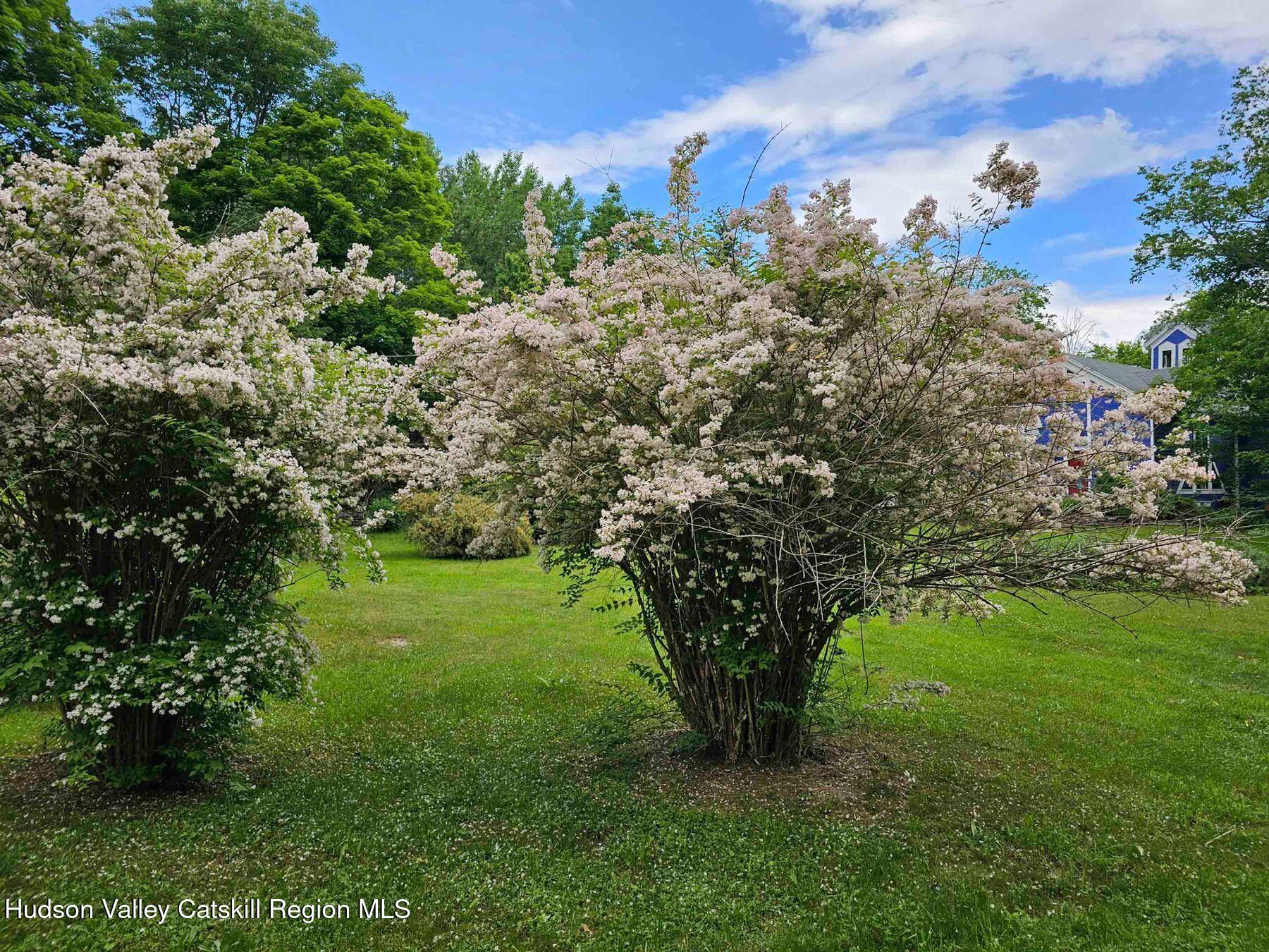 Jewett, New York, 12444, United States, 4 Bedrooms Bedrooms, ,4 BathroomsBathrooms,Residential,For Sale,2003258