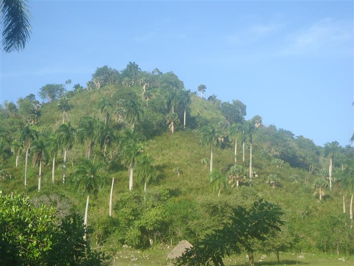 Sosua, DO, ,Land,For Sale,1907568
