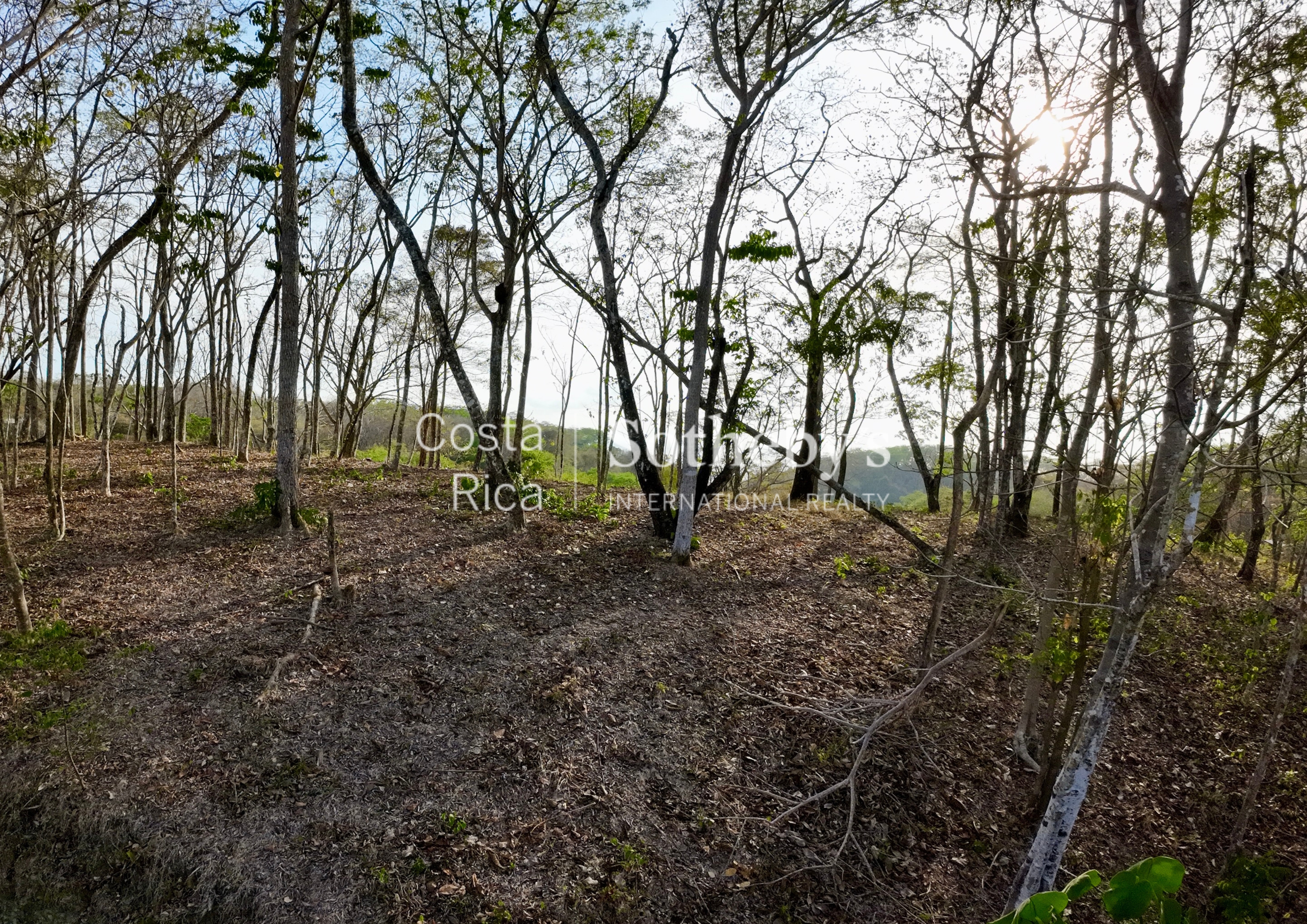  Expansive Ocean View Lot in the Hills of Hermosa - 物件實景