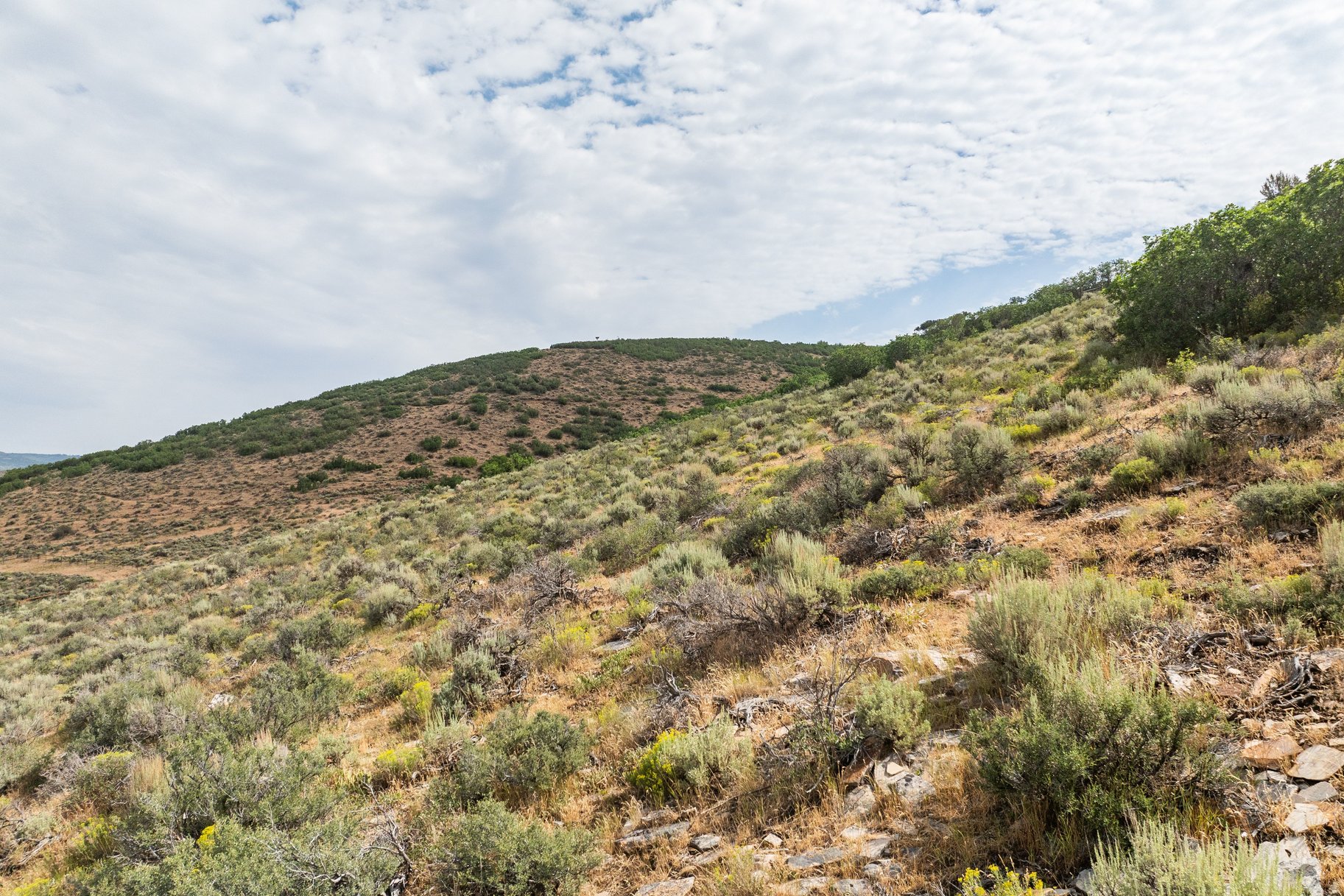  A Rare Old Ranch Road Homesite with Panoramic Ski Mountain Views - 物件實景