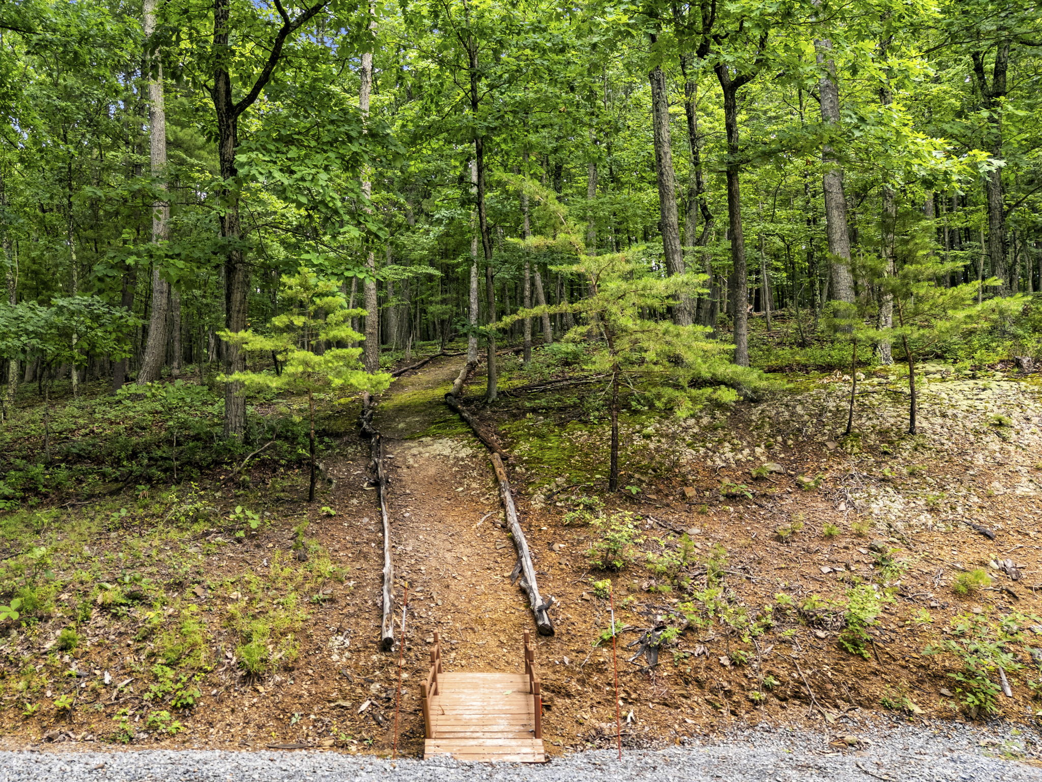  310 Red Gate Retreat Way, Berkeley Springs, WV 25411 - 物件實景