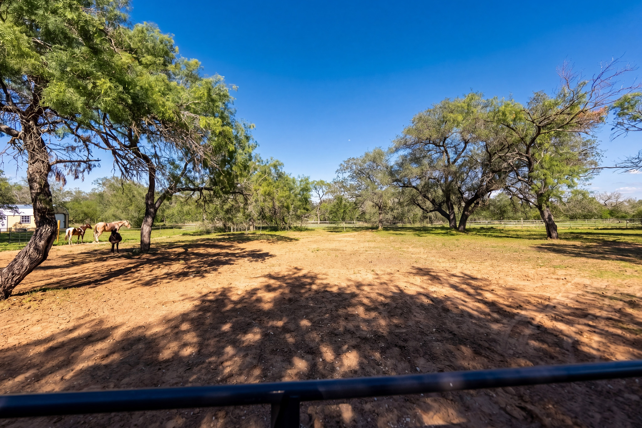  Private 10-Acre Horse Property in Lytle - 物件實景