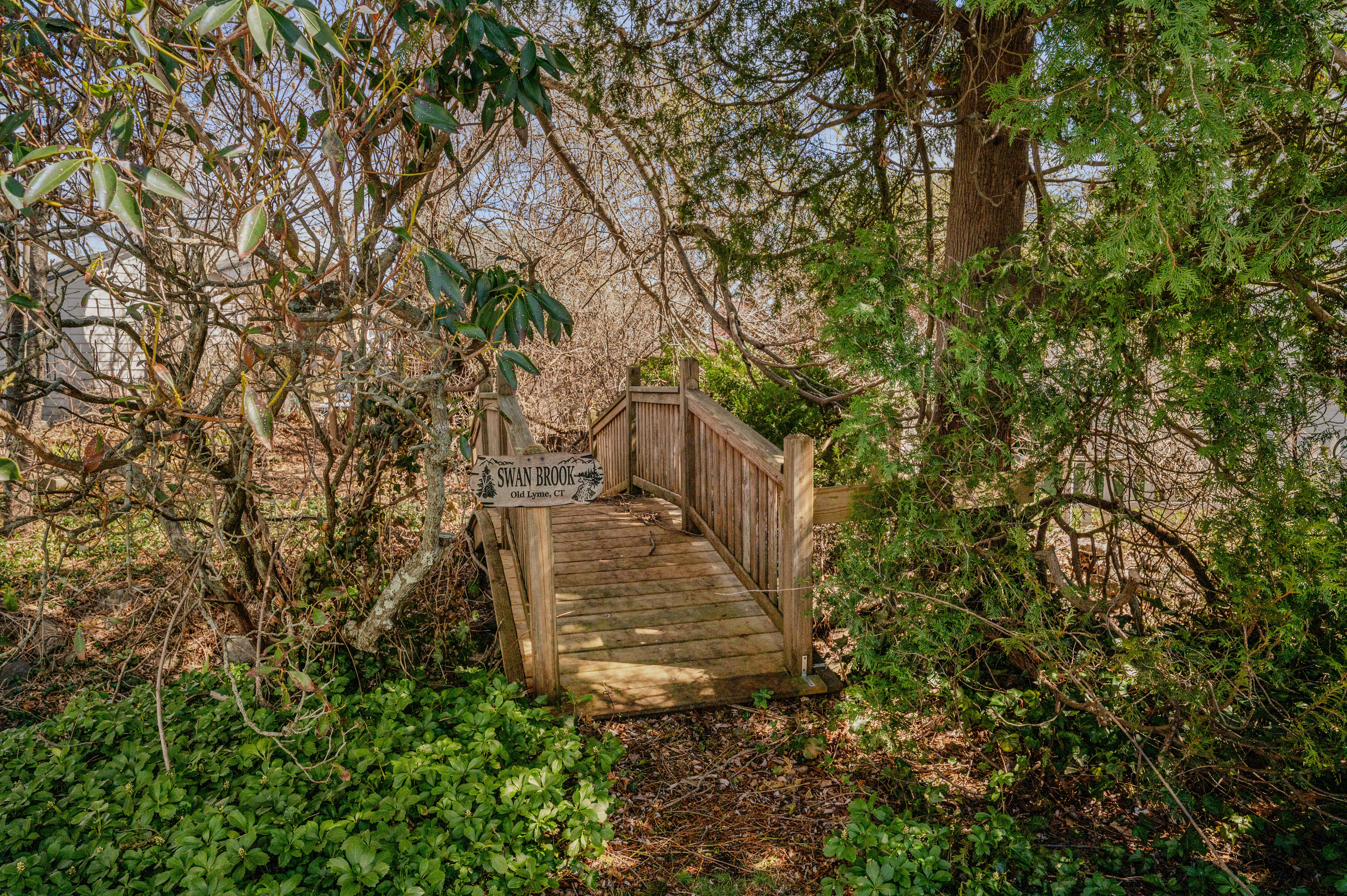  Charming Ranch Style Cottage in Miami Beach - 物件實景