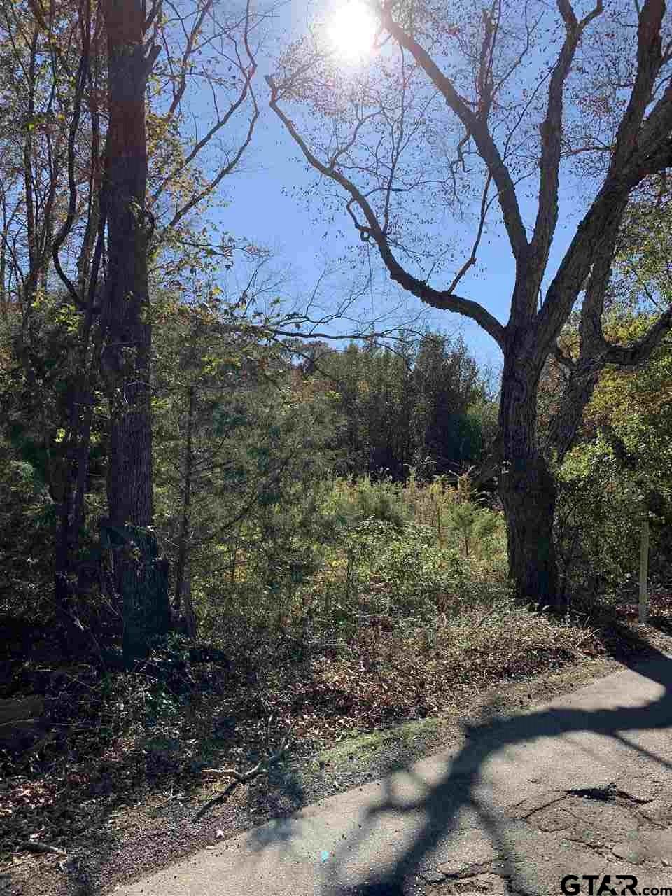 TBD CR 472 & I20, Lindale, Texas, 75771, United States, ,Land,For Sale,TBD CR 472 & I20,1673371