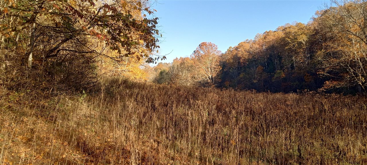 Willow Shade, Kentucky, 42166, United States, 3 Bedrooms Bedrooms, ,2 BathroomsBathrooms,Residential,For Sale,1991903