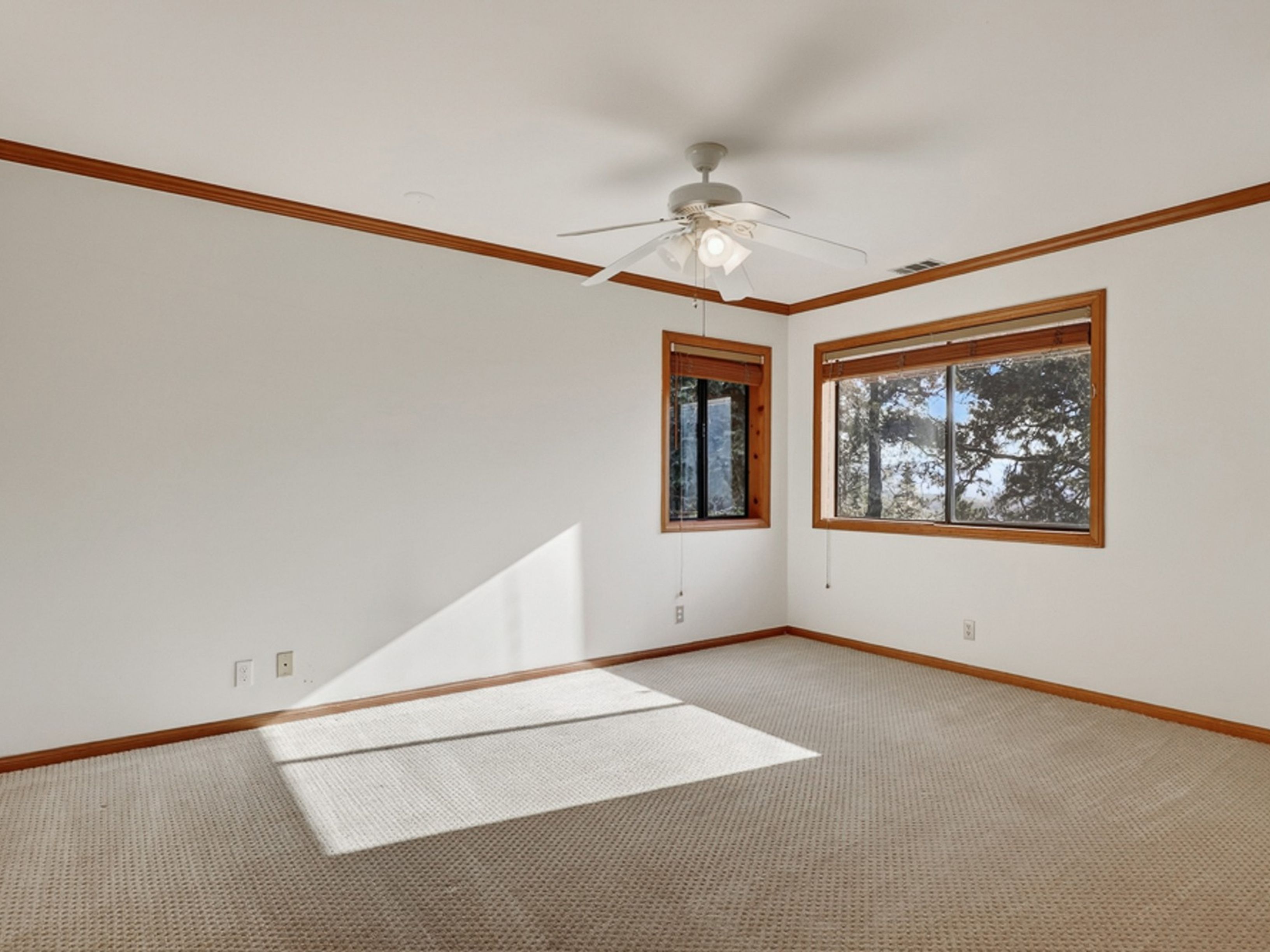  229 Shasta Drive, Lake Arrowhead, CA 92352 - 物件實景