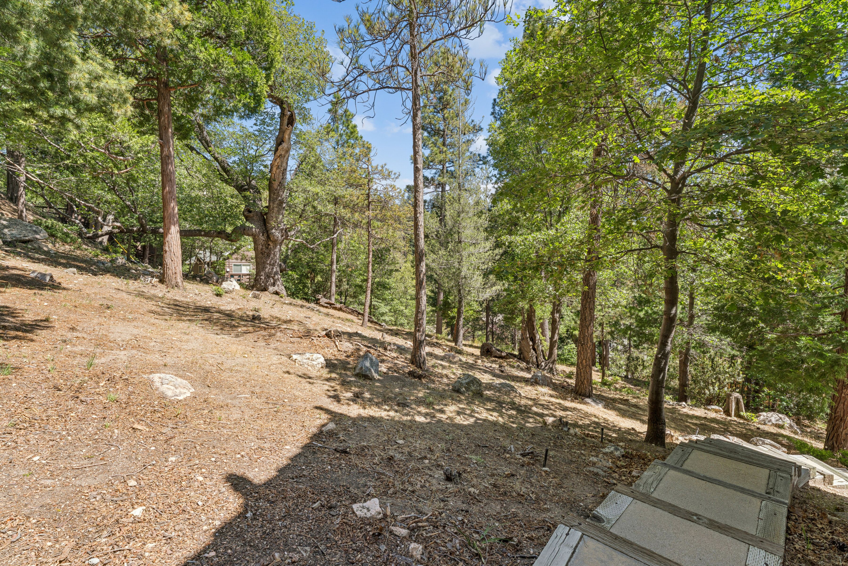  686 Grass Valley Road, Lake Arrowhead, CA 92352 - 物件實景