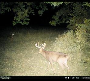 Muscoda, Wisconsin, 53573, United States, 3 Bedrooms Bedrooms, ,3 BathroomsBathrooms,Residential,For Sale,1990387