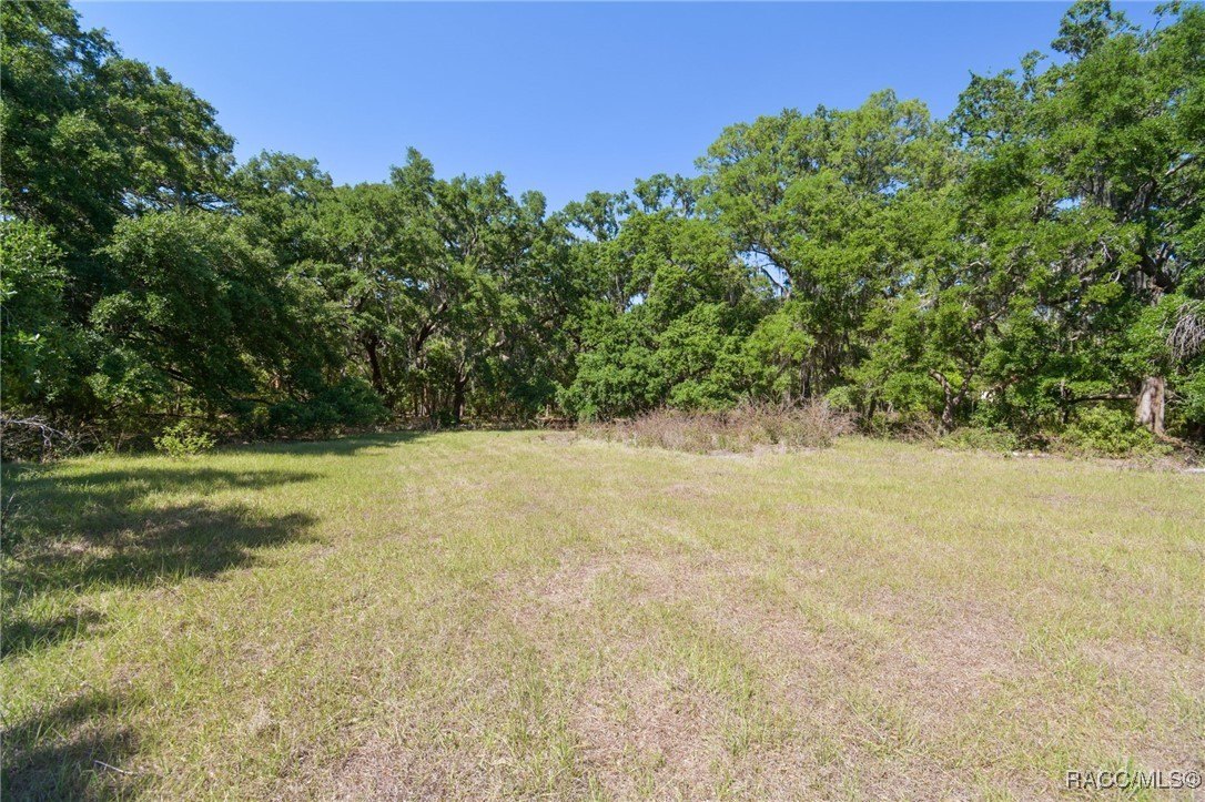 Brandon, Florida, 33511, United States, ,Land,For Sale,1981664