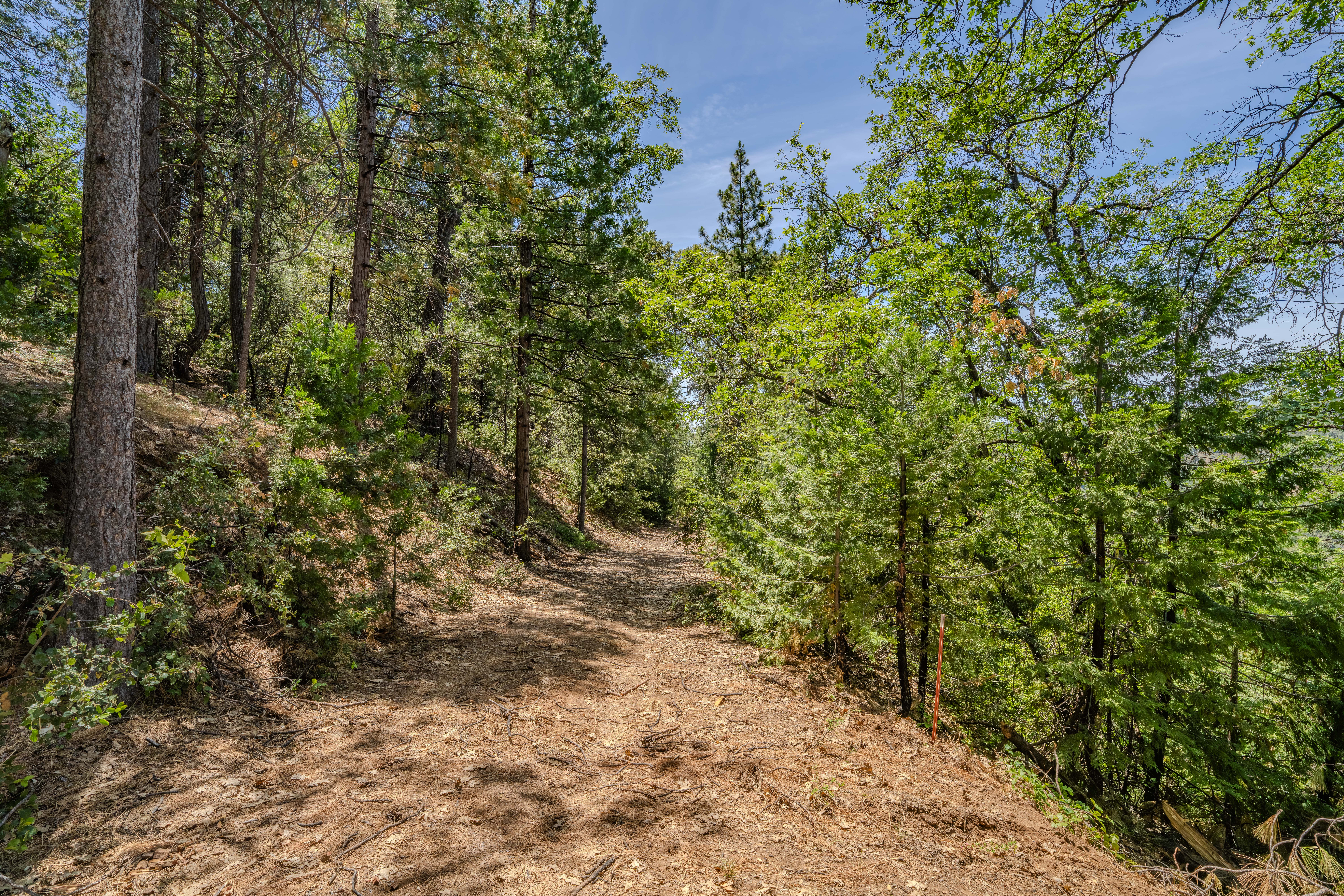  24100 Canterbury Road, Pioneer, CA 95666 - 物件實景