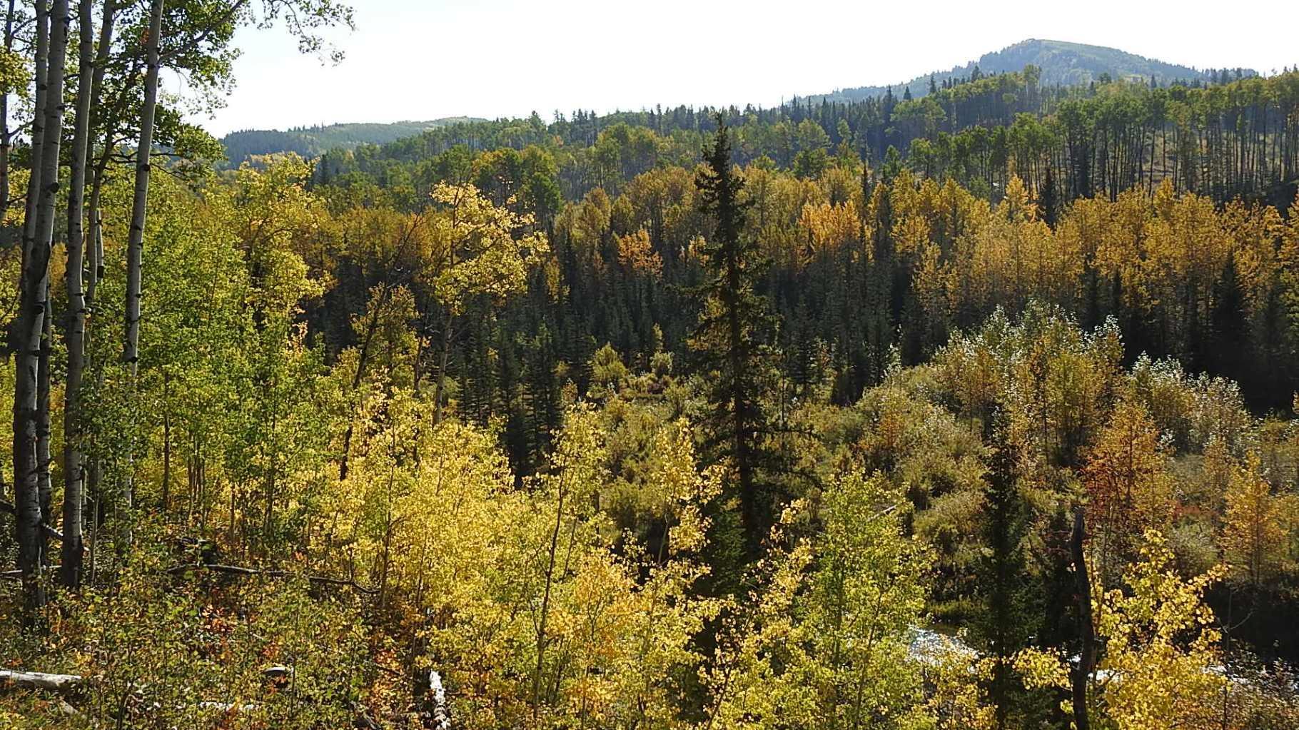 RURAL FOOTHILLS COUNTY, Alberta, T0L 1K0, CA, ,Residential,For Sale,1836944