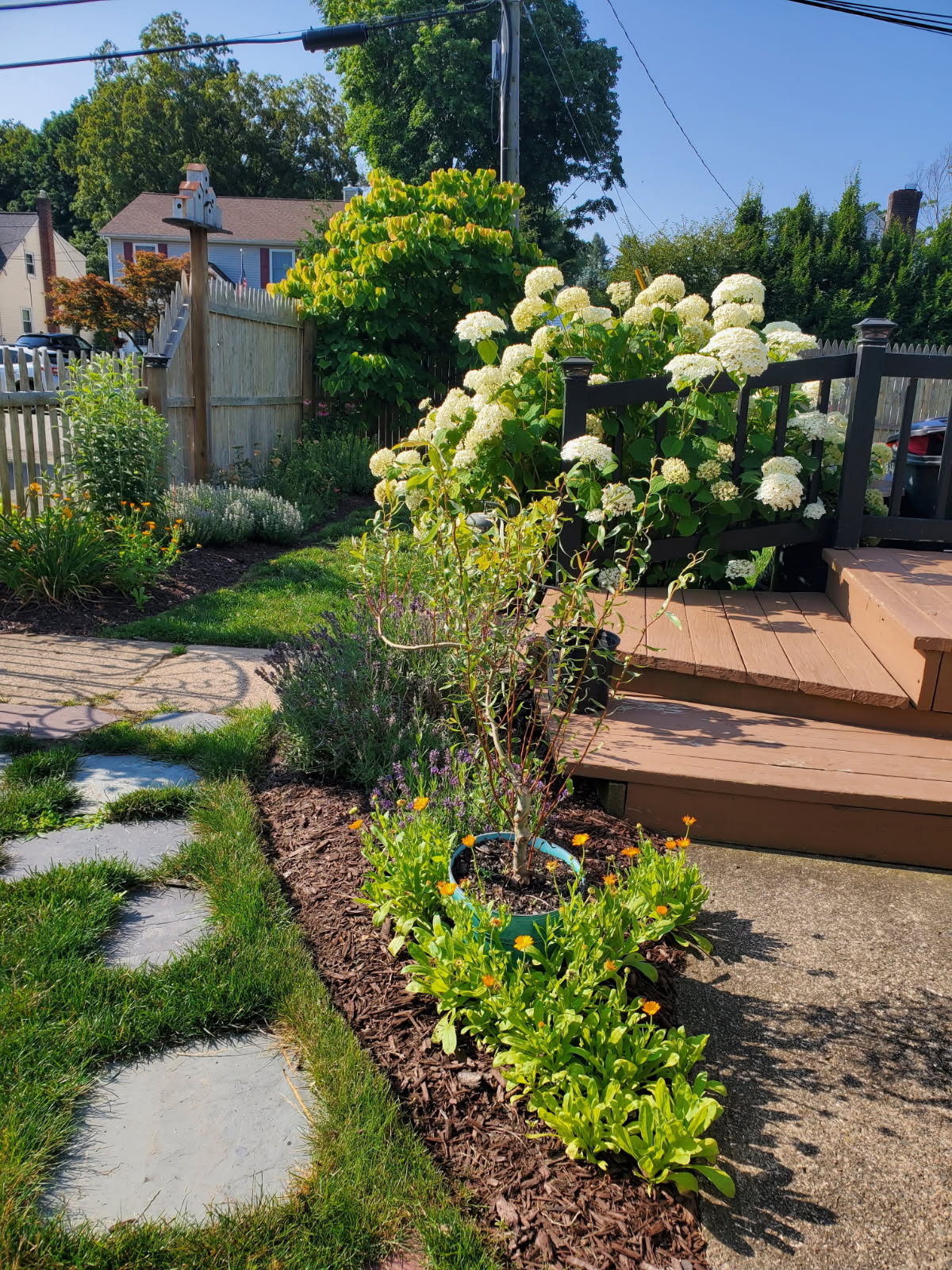 Pompton Plains, New Jersey, 07444, United States, 4 Bedrooms Bedrooms, ,3 BathroomsBathrooms,Residential,For Sale,2007489