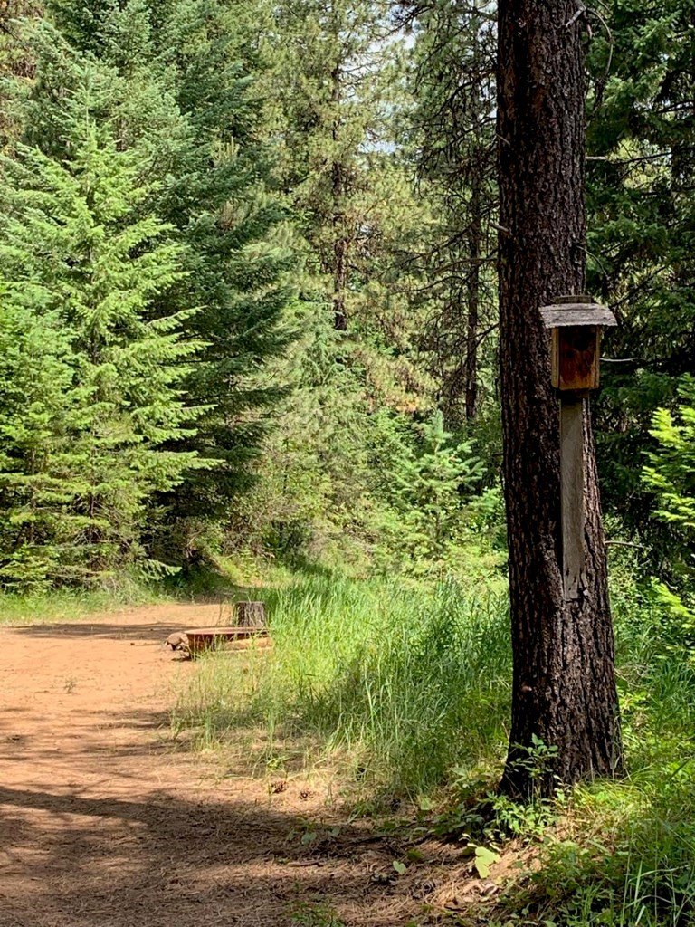 New Meadows, Idaho, 83654, United States, ,Land,For Sale,2005639