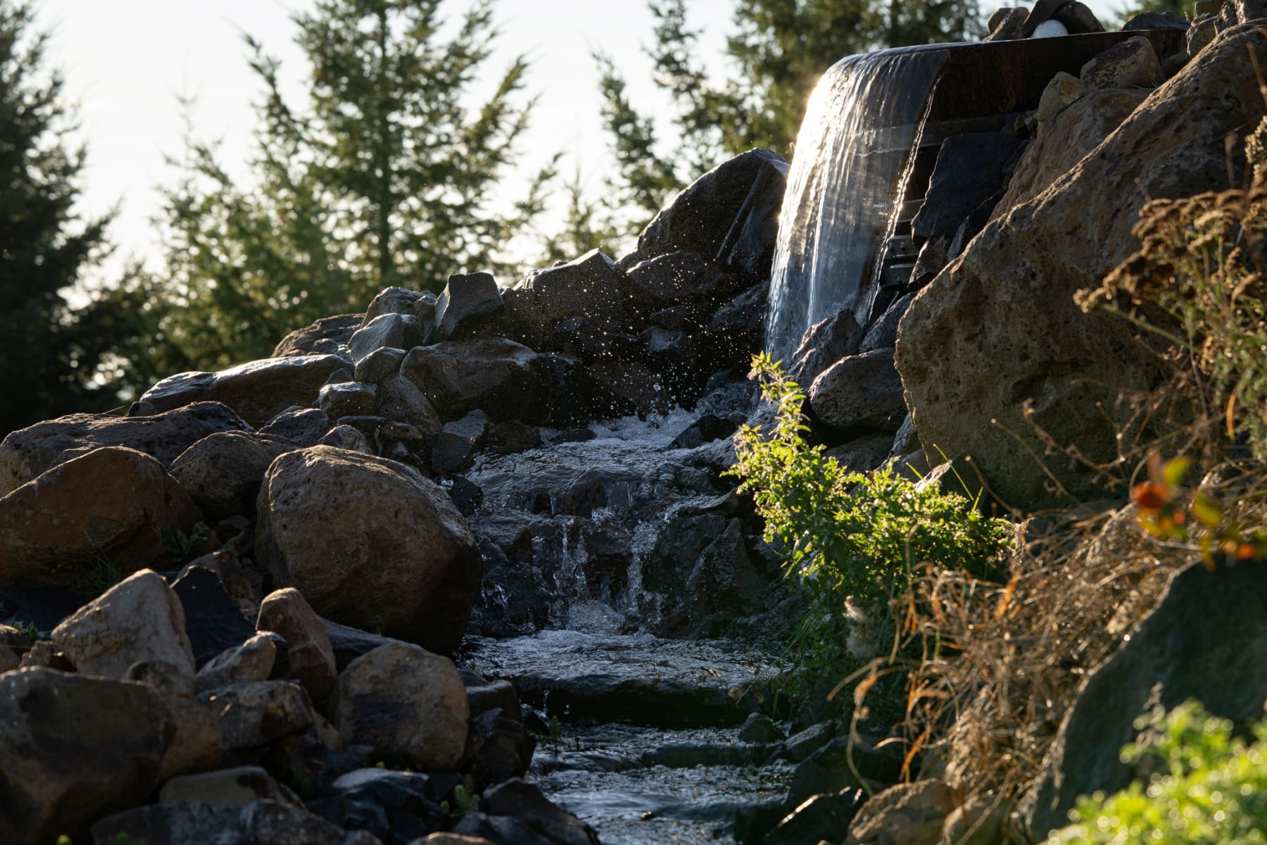 17071 NE HOLLY HILL RD Hillsboro, OR 97123 - 物件實景
