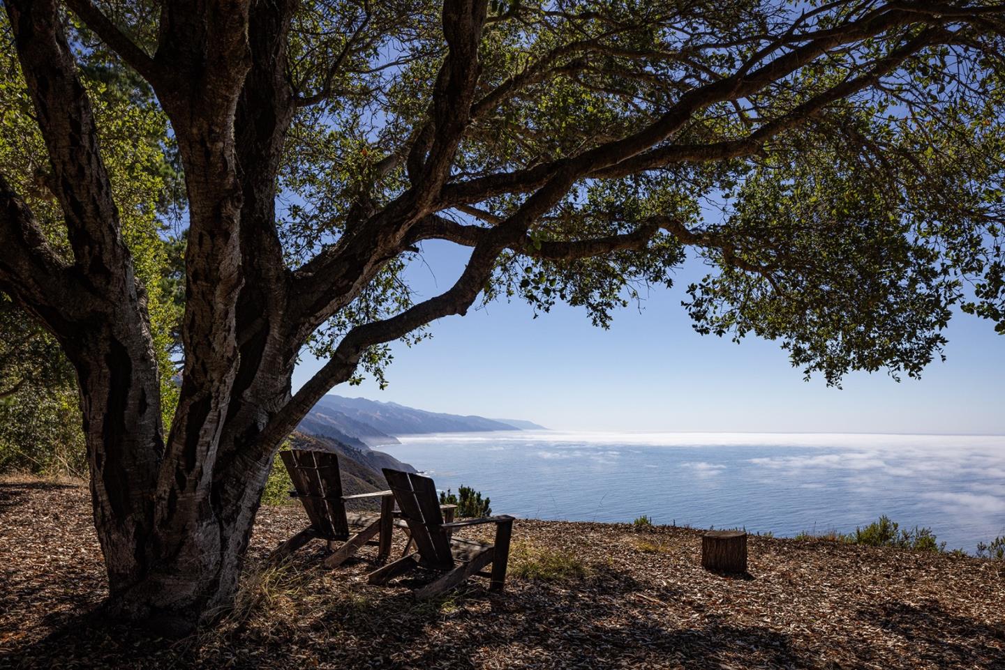 47320 Highway 1, Big Sur, California, 93920, United States, 11 Bedrooms Bedrooms, ,9 BathroomsBathrooms,Residential,For Sale,47320 Highway 1,1659242