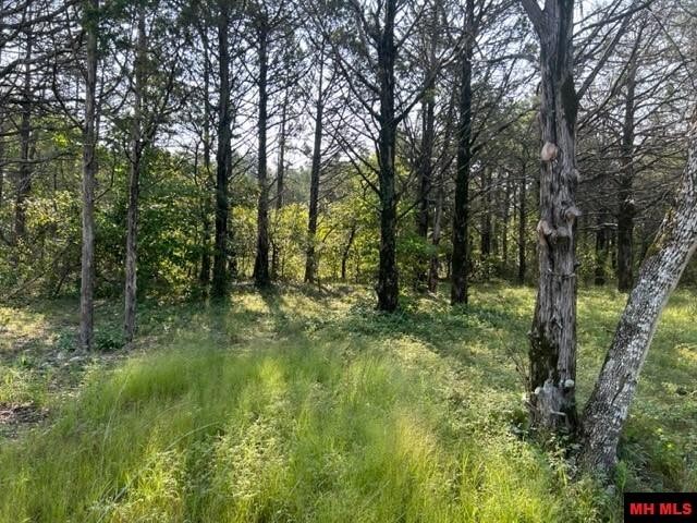 001-05276-003 INVERNESS DRIVE, Mountain Home, Arkansas, 72653, United States, ,Residential,For Sale,001-05276-003 INVERNESS DRIVE,1333567