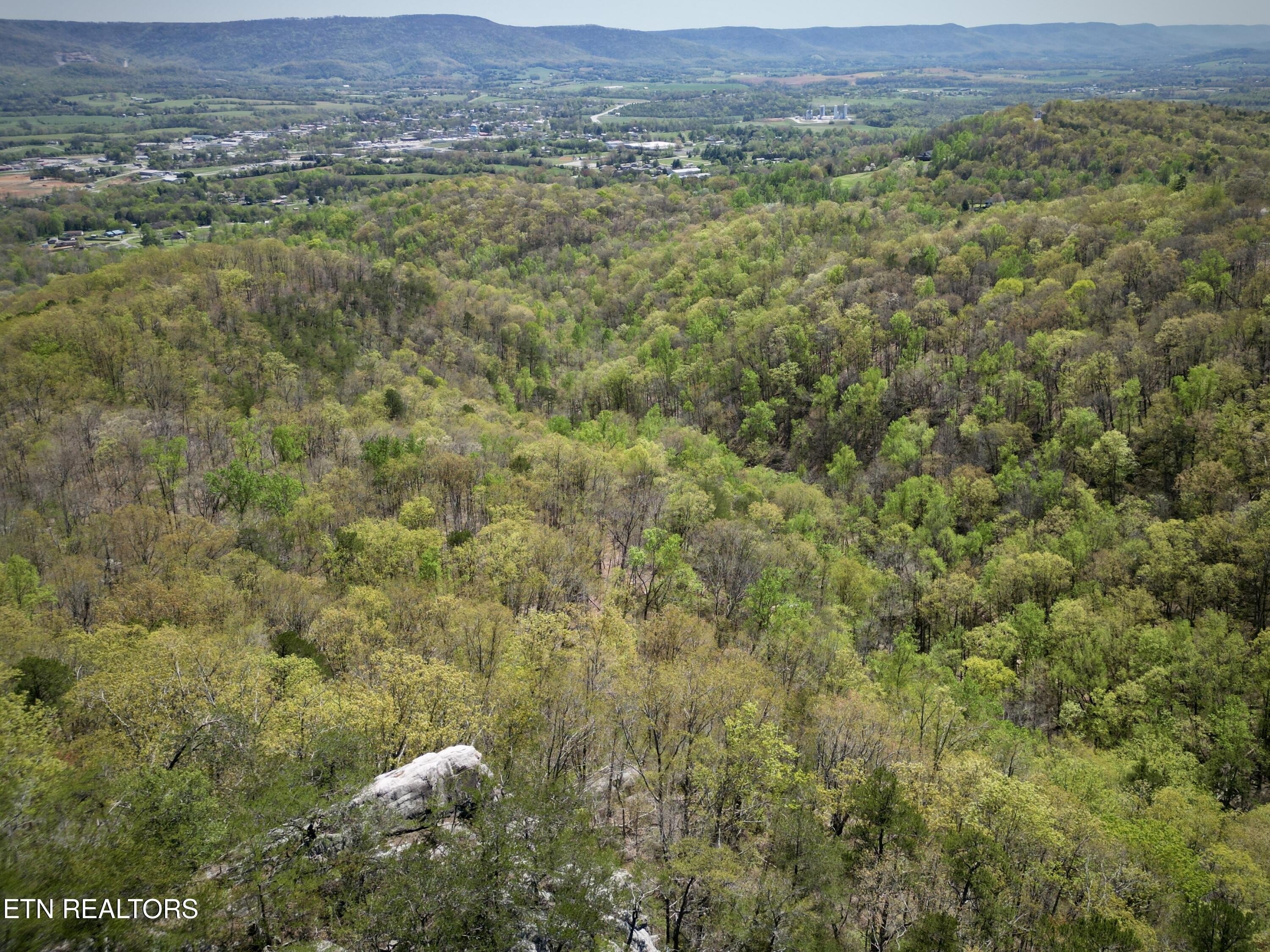 Pikeville, Tennessee, 37367, United States, ,Land,For Sale,1975616
