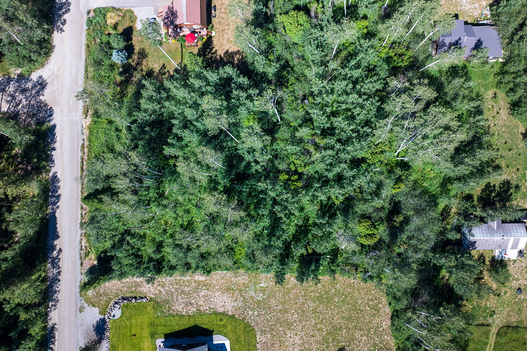  North Forest Views - 物件實景