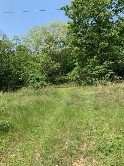 Holland, Michigan, 49423, United States, ,Land,For Sale,1984498