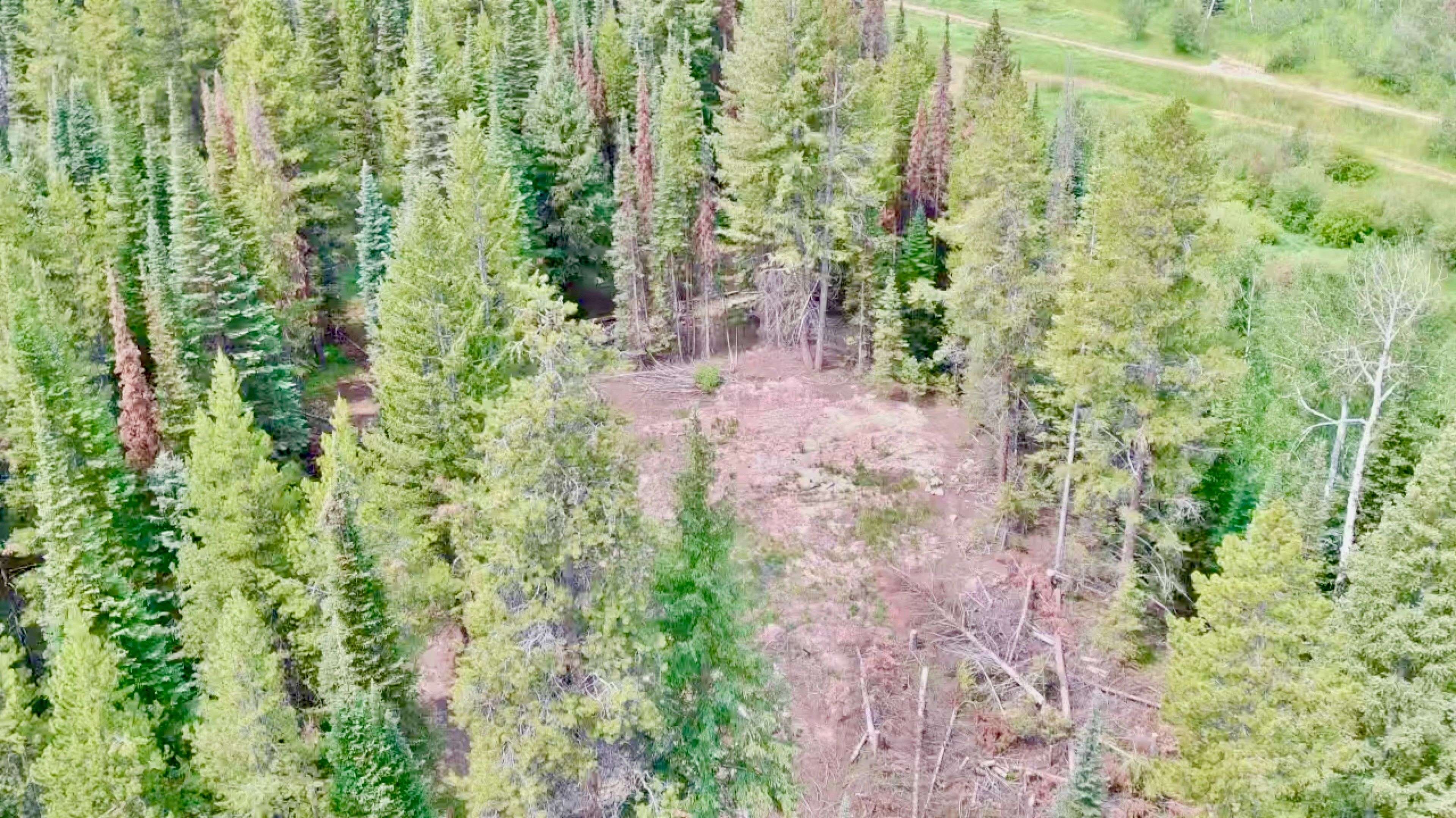  Lot 38 Colt Trail, Oak Creek, CO, 80467 - 物件實景