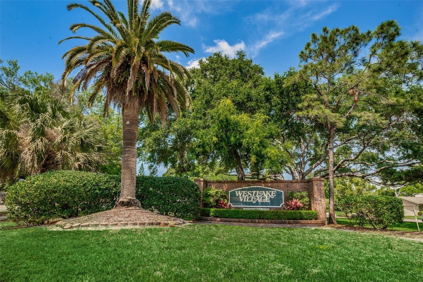 PALM HARBOR, Florida, 34683, United States, 5 Bedrooms Bedrooms, ,2 BathroomsBathrooms,Residential,For Sale,1982999