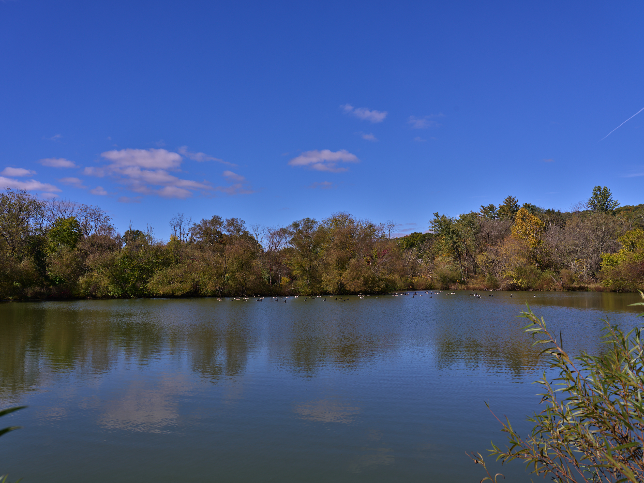  3290 Route 412, Coopersburg, PA 18036 - 物件實景