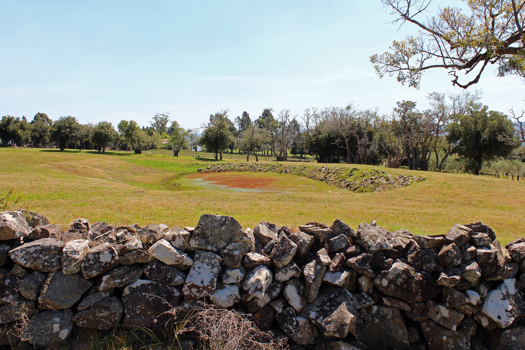 Farm with olive groves in Pueblo Edén - 物件實景
