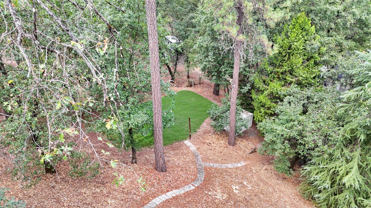 Meadow Vista, California, 95722, United States, 4 Bedrooms Bedrooms, ,3 BathroomsBathrooms,Residential,For Sale,1979764