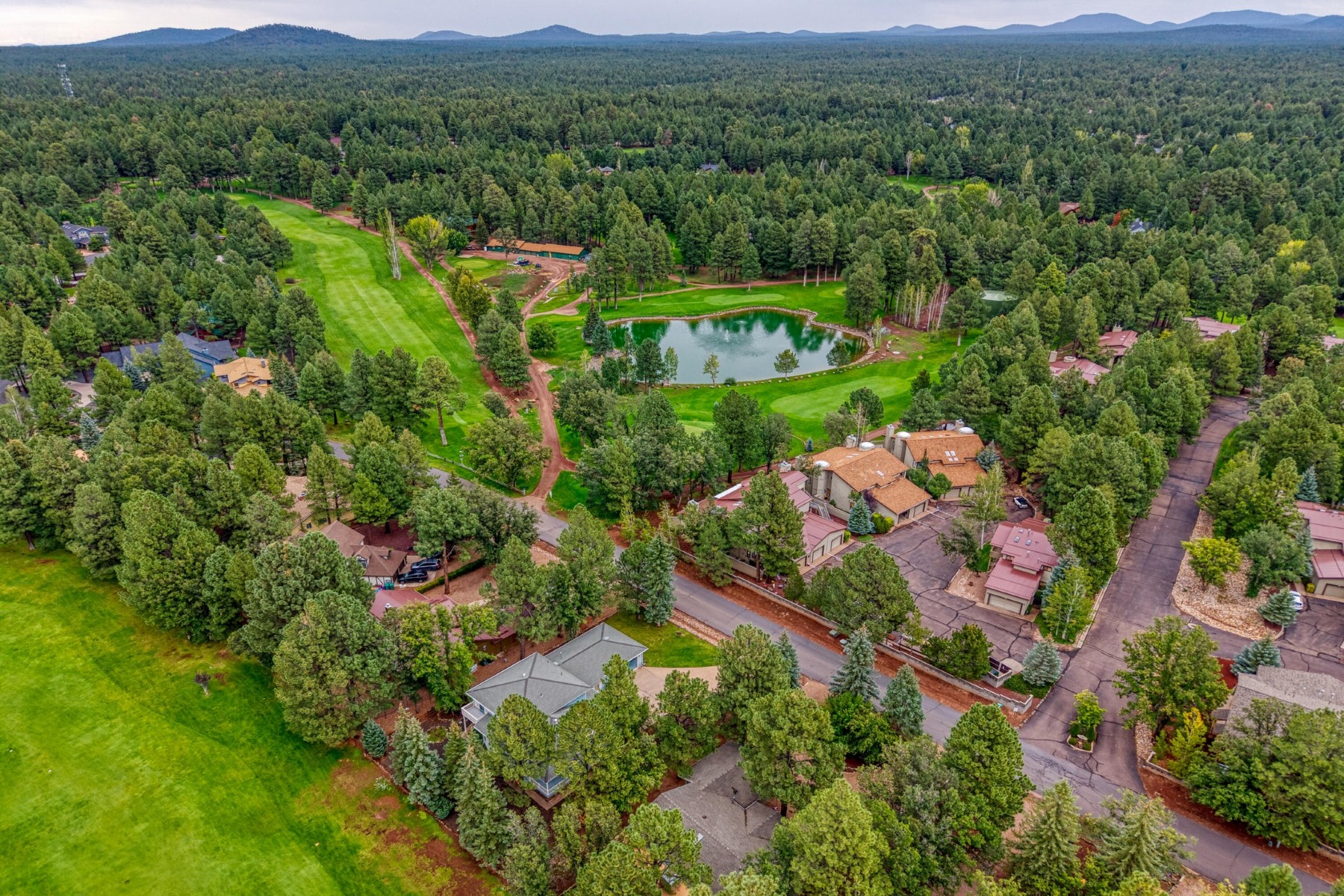  3618 Roaring Fork Drive, Pinetop, AZ 85935 - 物件實景