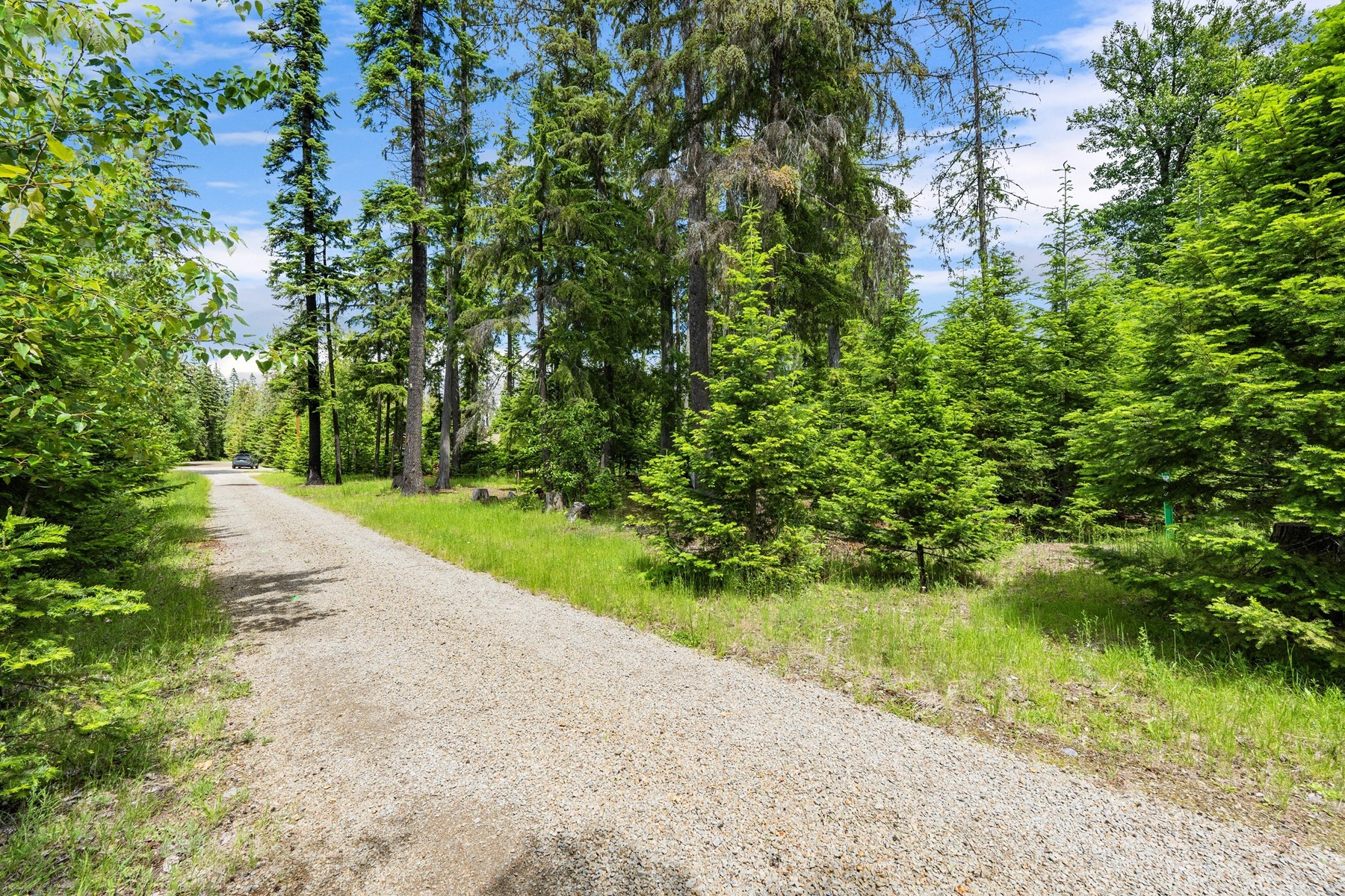  Priest Lake Idaho Building Lots - 物件實景