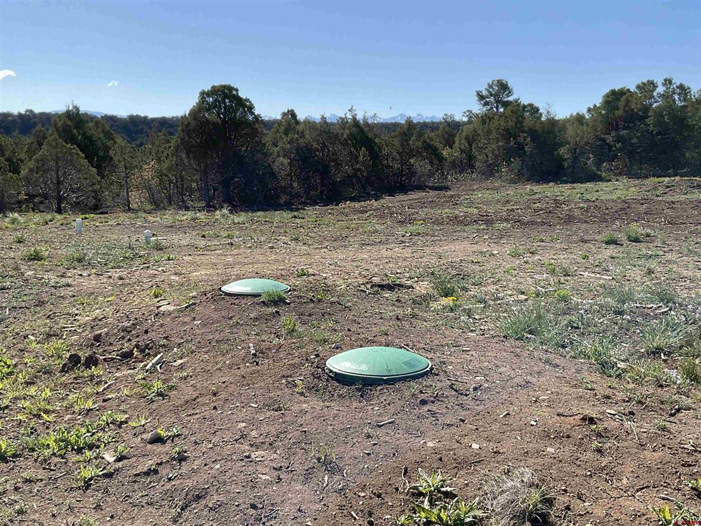 Montrose, Colorado, 81403, United States, ,Land,For Sale,1919926