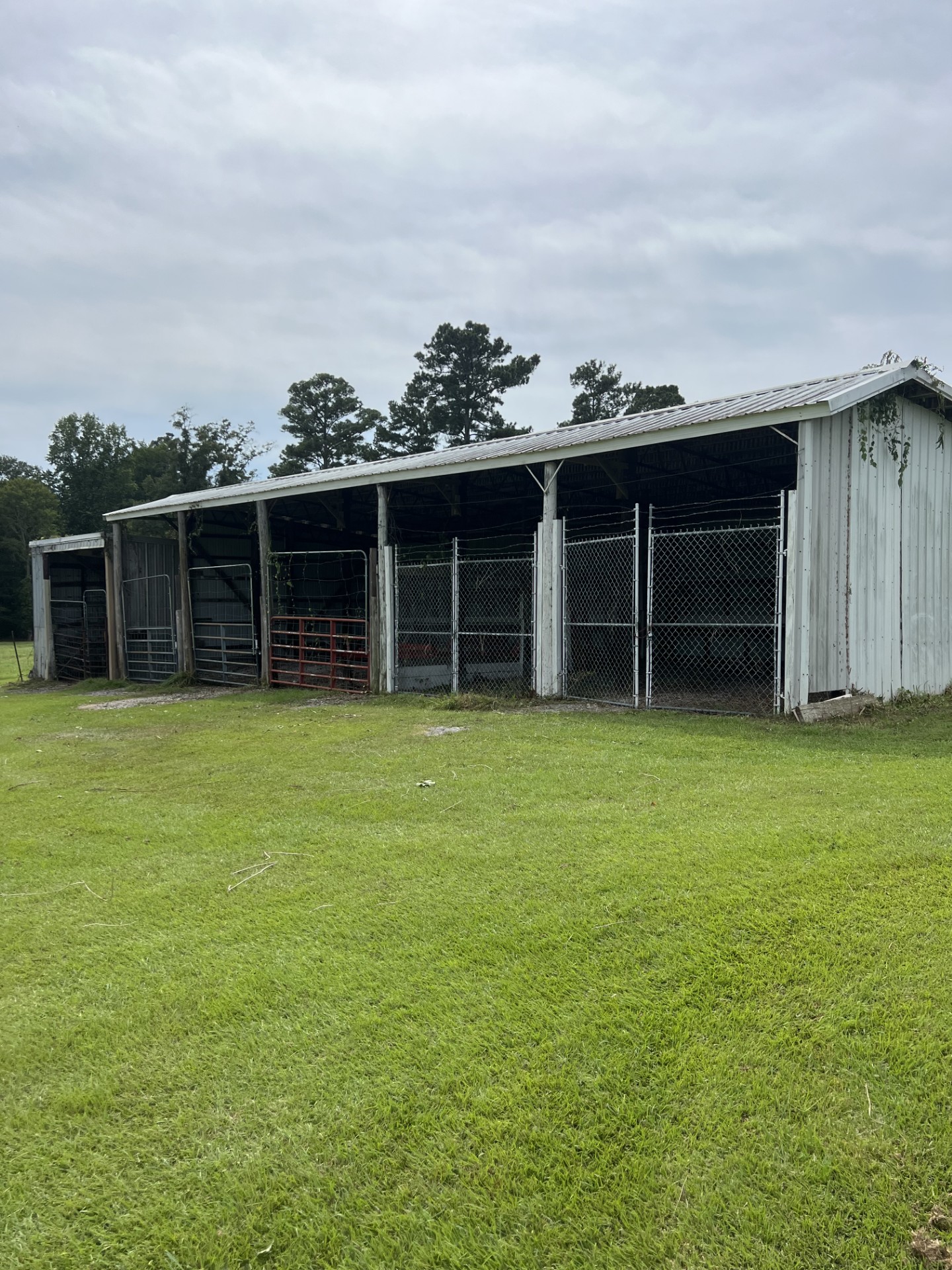 Moulton, Alabama, 35650, United States, 3 Bedrooms Bedrooms, ,2 BathroomsBathrooms,Residential,For Sale,1981747