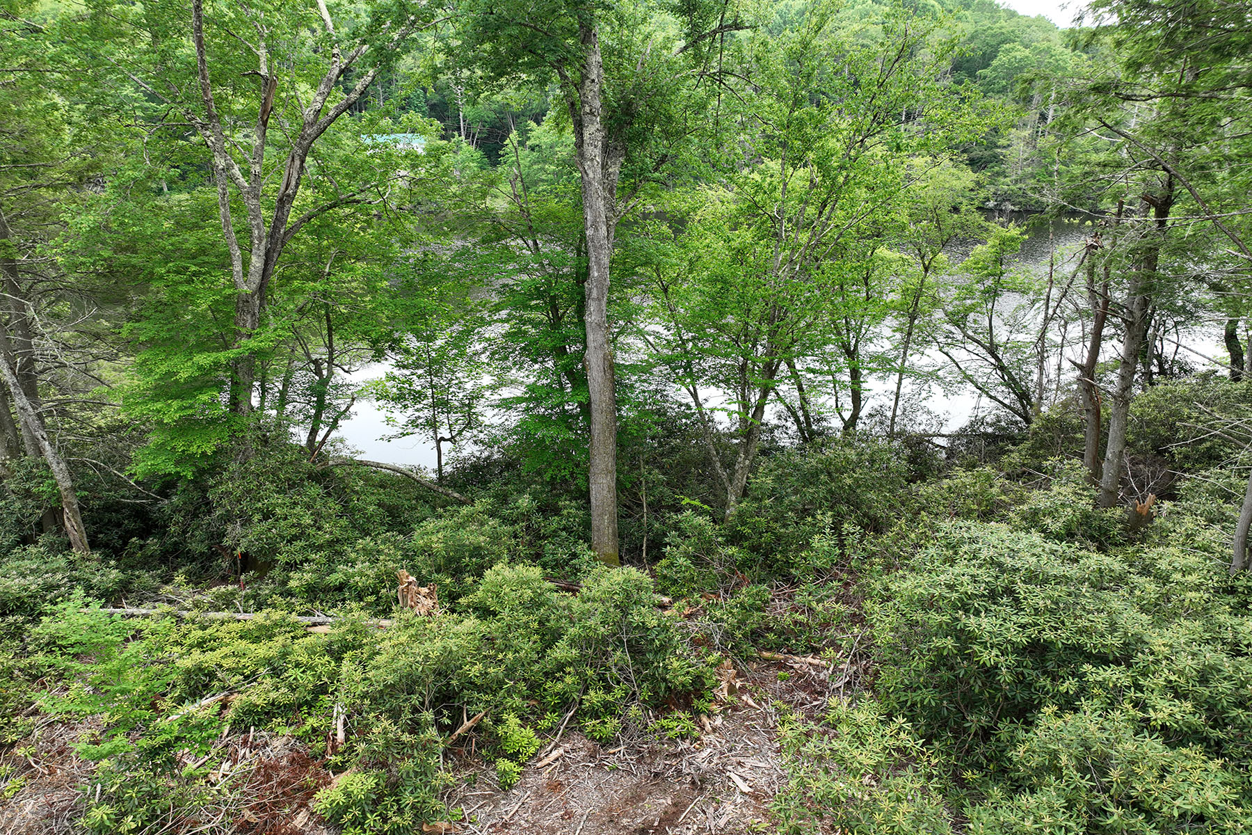  ROAN MOUNTAIN - RIPSHIN LAKE CORPORATION - 物件實景