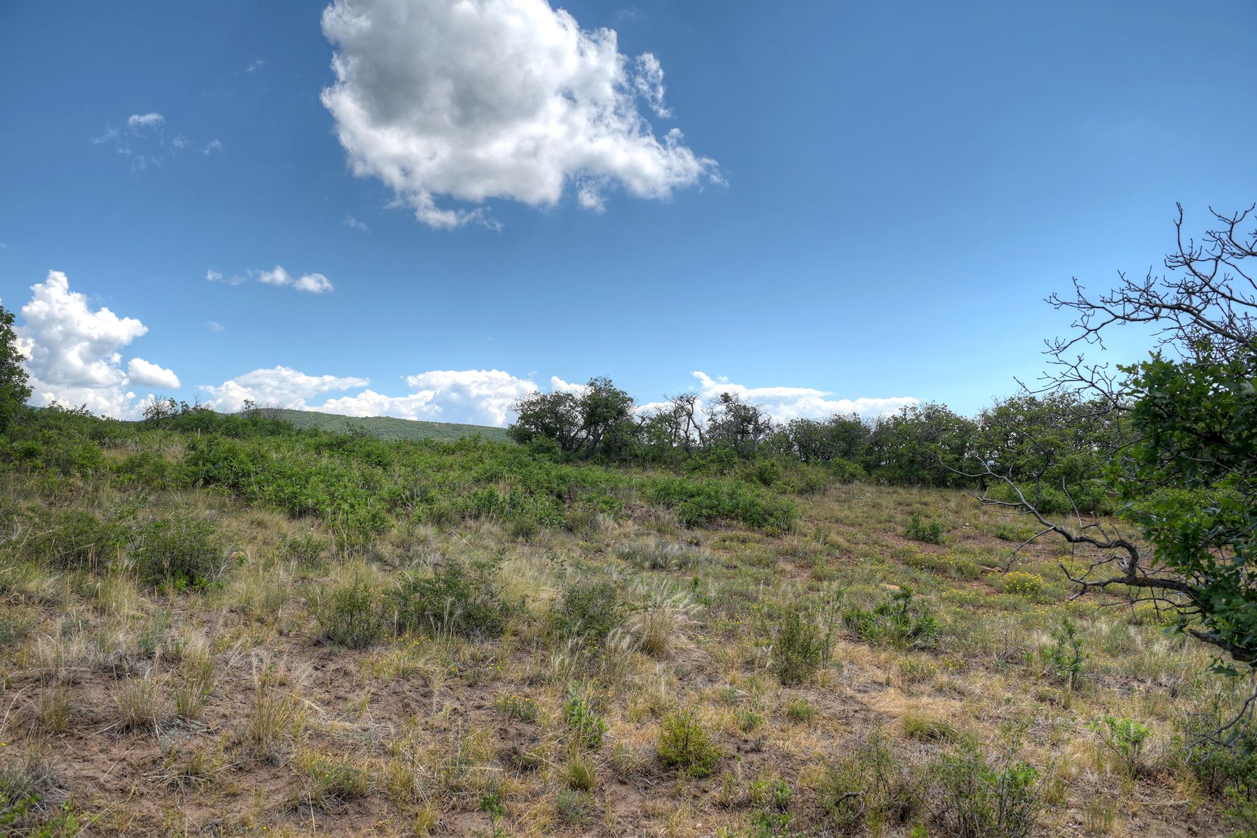  TBD Cross Creek Road, Hesperus, CO 81326 - 物件實景