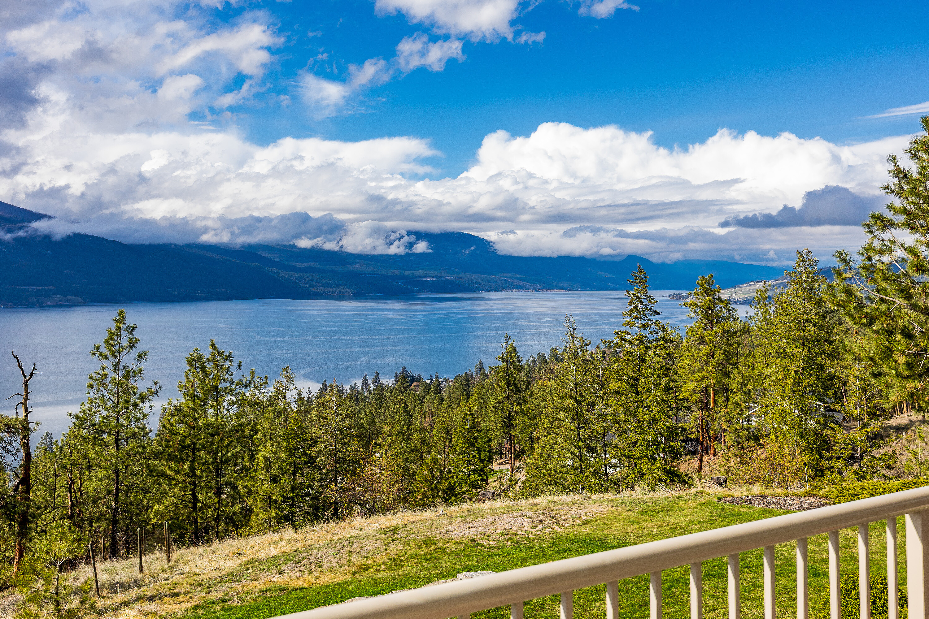  180 Degree Views of the Lake - 物件實景
