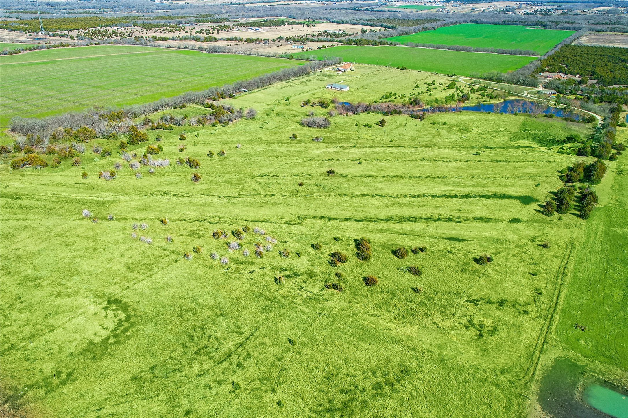 Farmersville, Texas, 75442, United States, ,Land,For Sale,1754423