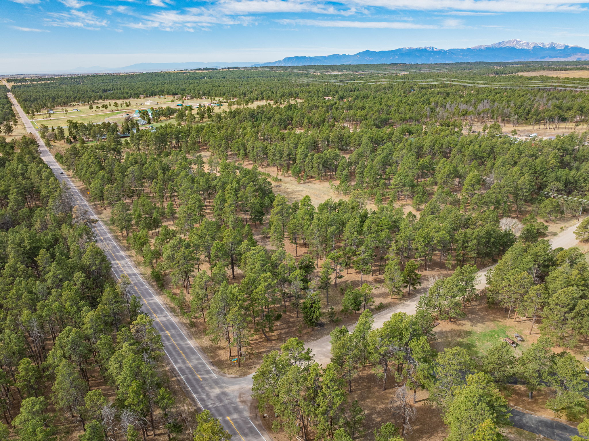 Historic Pine Run Ranch in Black Forest on rare 60 acres - 物件實景