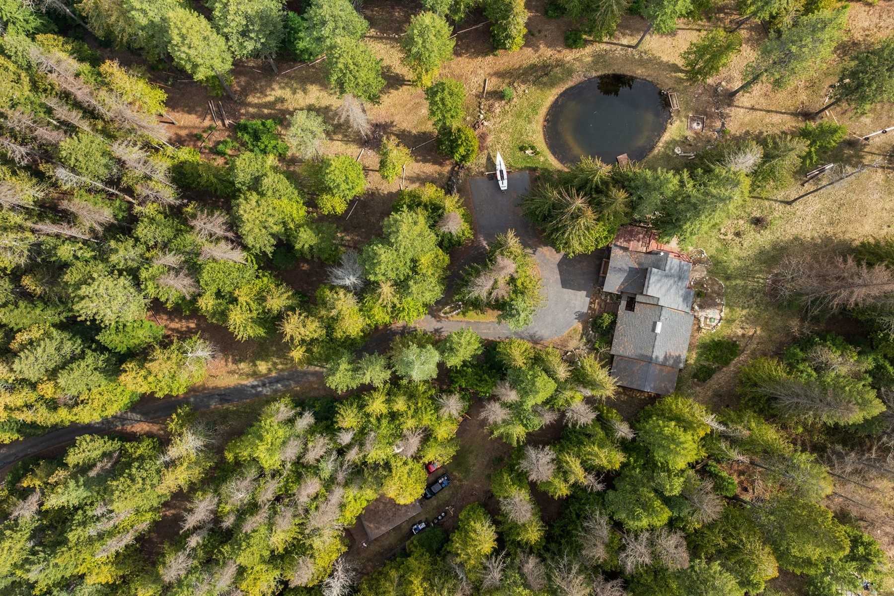  Tree Farm & Home on 6+ Acres - 物件實景