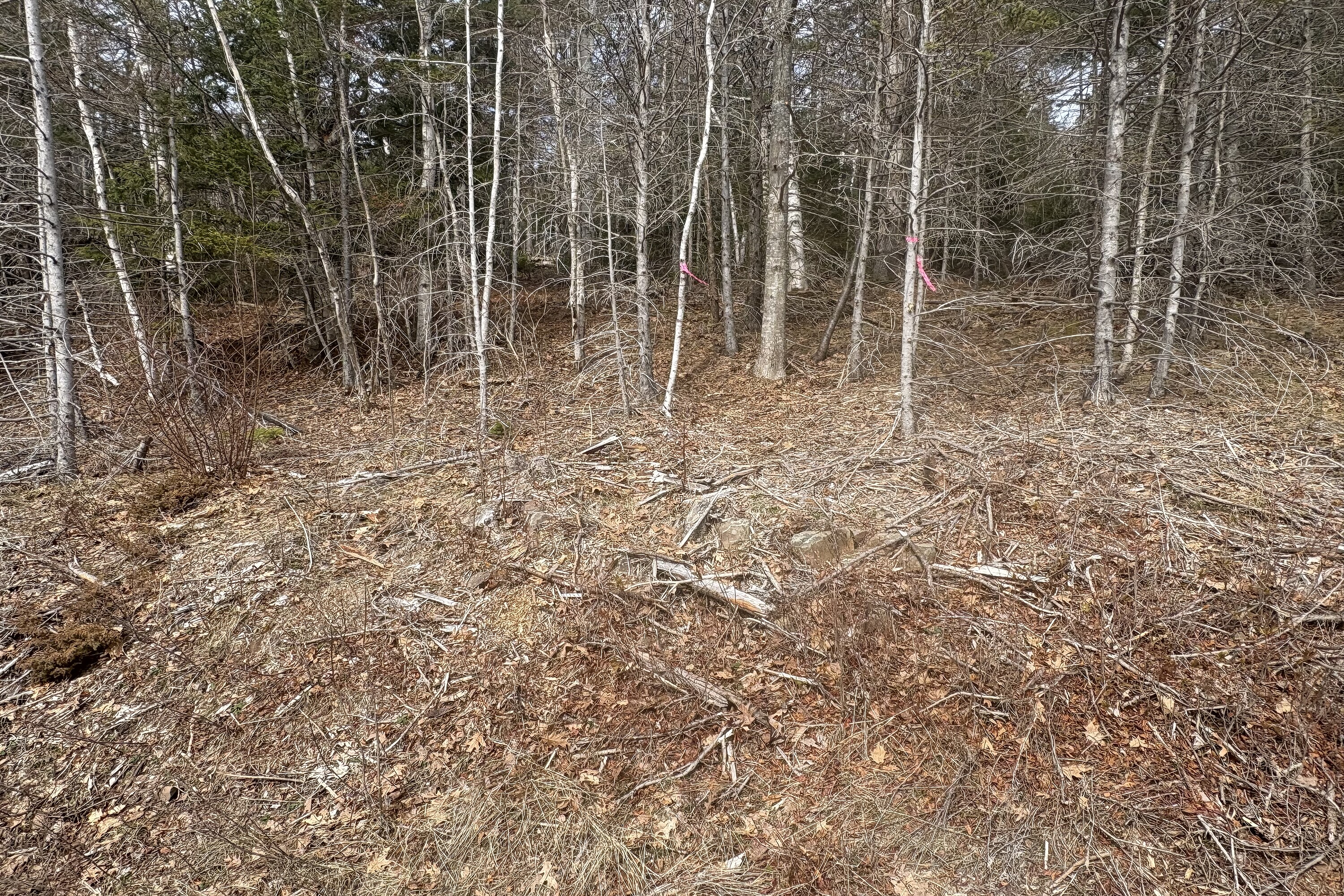  Melvern Square, - 物件實景